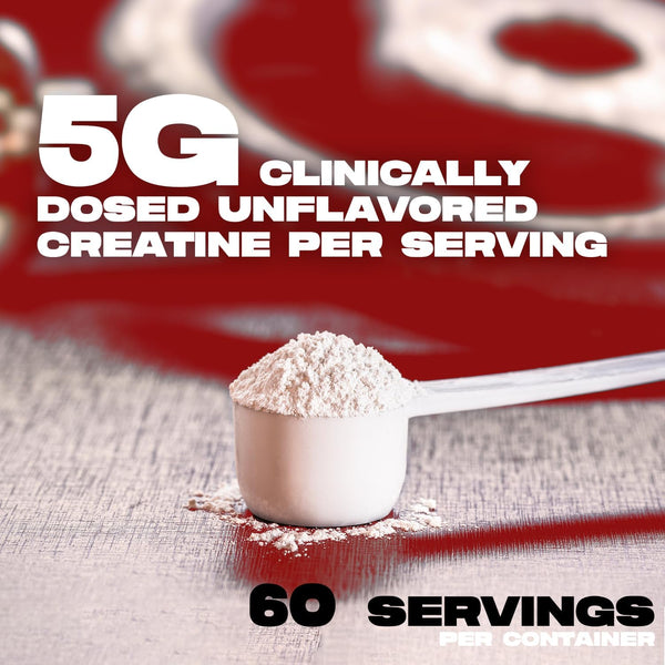 ALPHA LION Creatine Monohydrate Powder – 300g (60 Servings) | 5g Pure Creatine | Strength, Size & Performance Boost