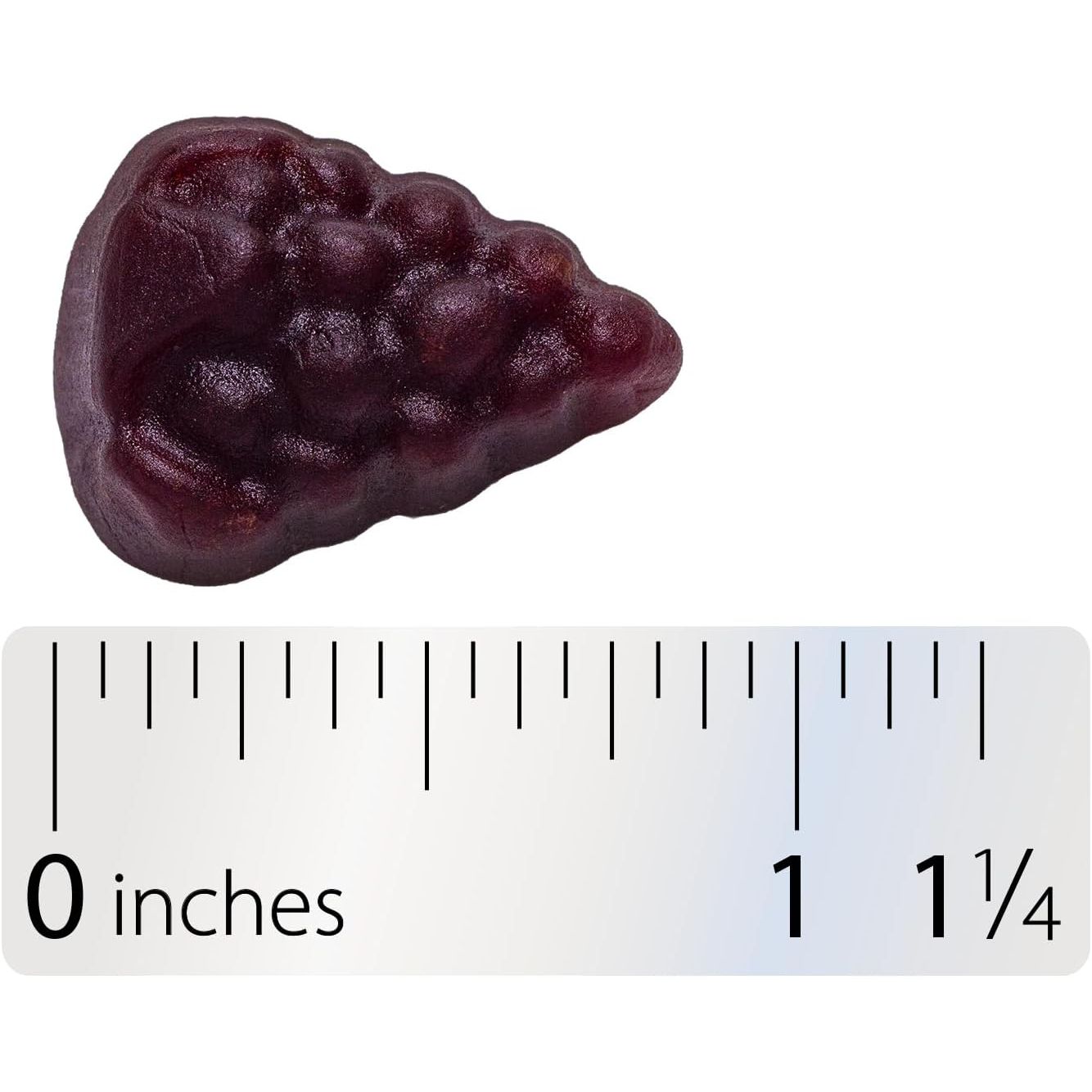 Nature's Way Sambucus Elderberry Immune Gummy – 60 Gummies | Vitamin C, D3 & Zinc Immune Support