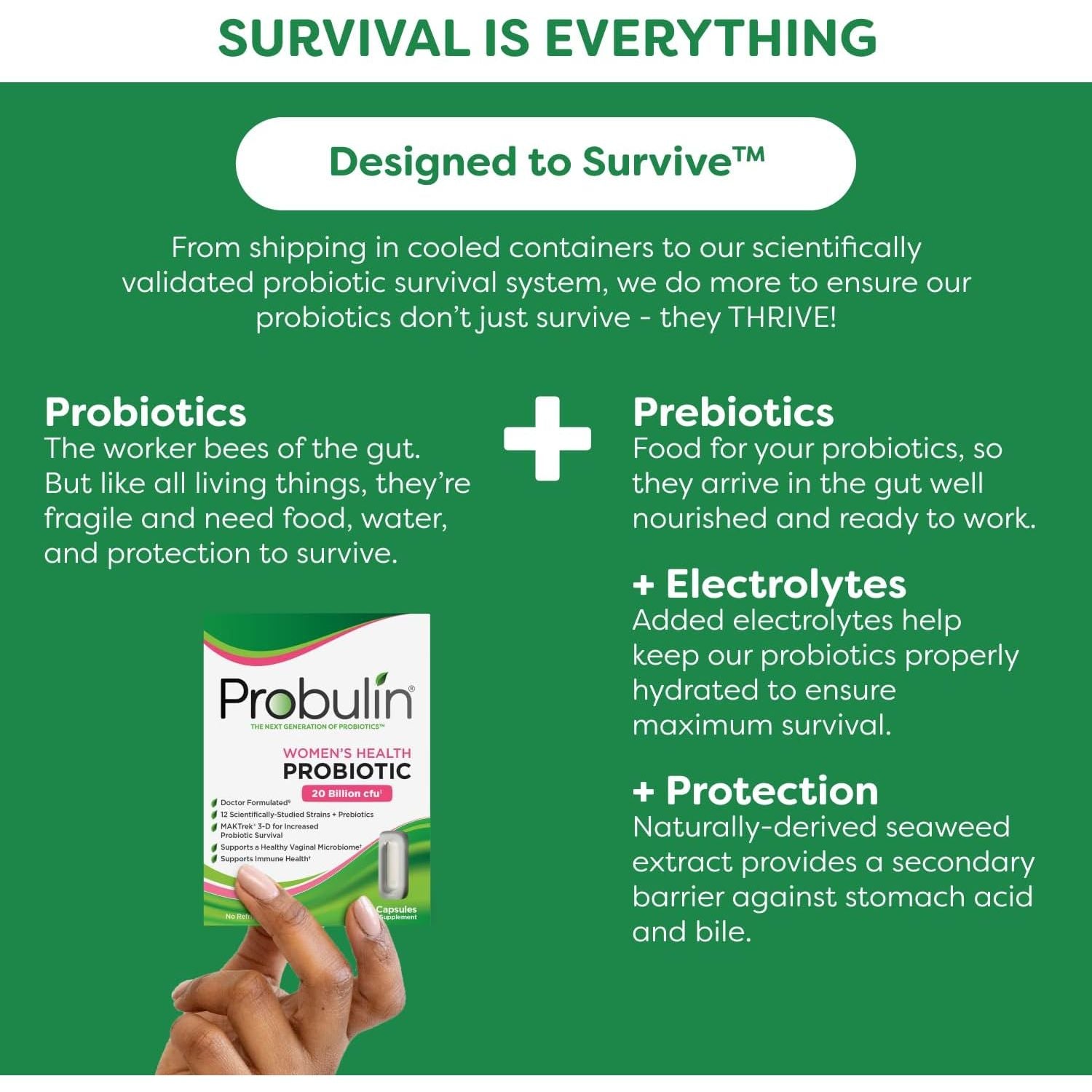 Probulin Women’s Health Probiotic – 20 Billion CFU | 30 Capsules | Feminine Balance, Digestive & Immune Support