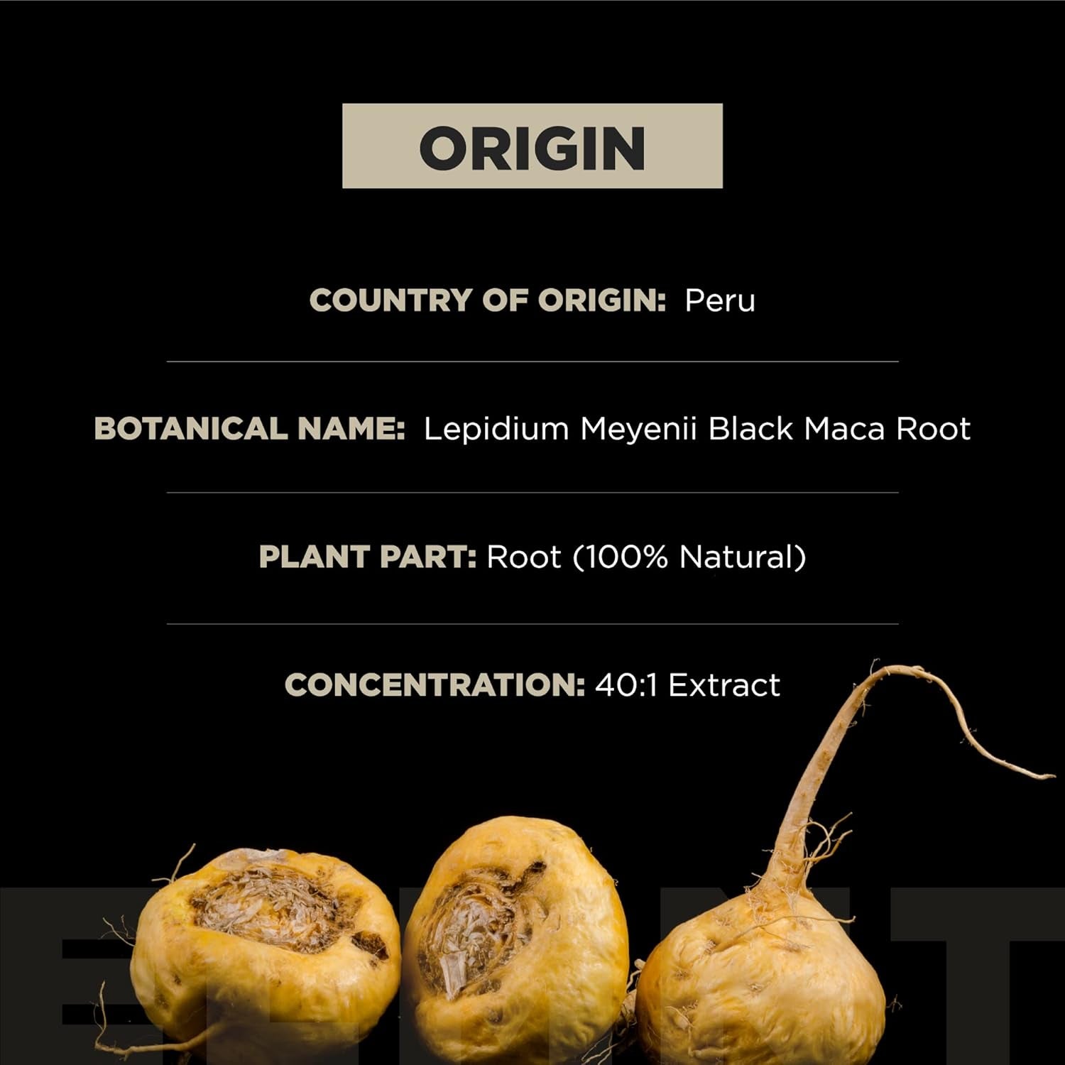 Terra Elmnt 40,000Mg 40X Strength Organic Black Maca Root + Ashwagandha - #1 Highest Potency Black Maca Root Capsules for Men Supplement 100% Pure Maca Peruana 40:1 Extract Maca Powder Pills Male Booster