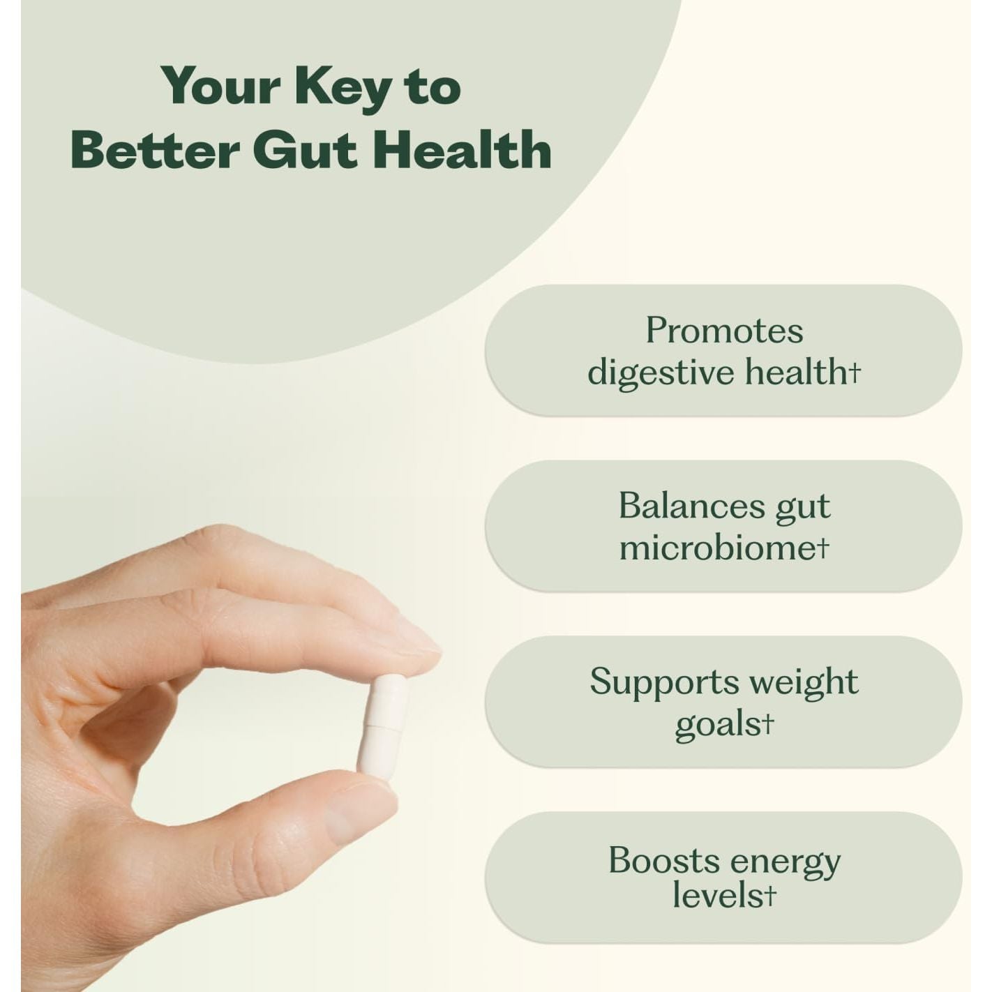 Nature M.D. Synbiotic 365 – 30 Capsules | Gut Health, Immunity & Weight Management Support