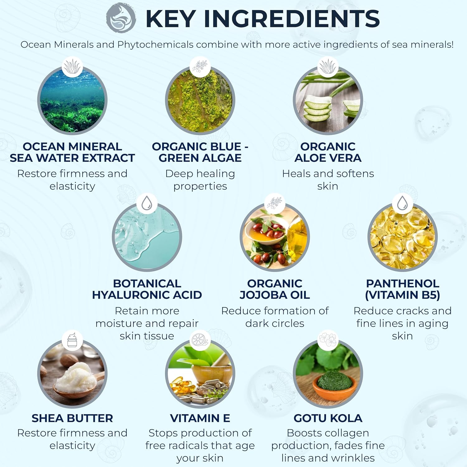 Foxbrim Naturals Ocean Mineral Moisturizer – 60ml | Lightweight Anti-Aging Hydration