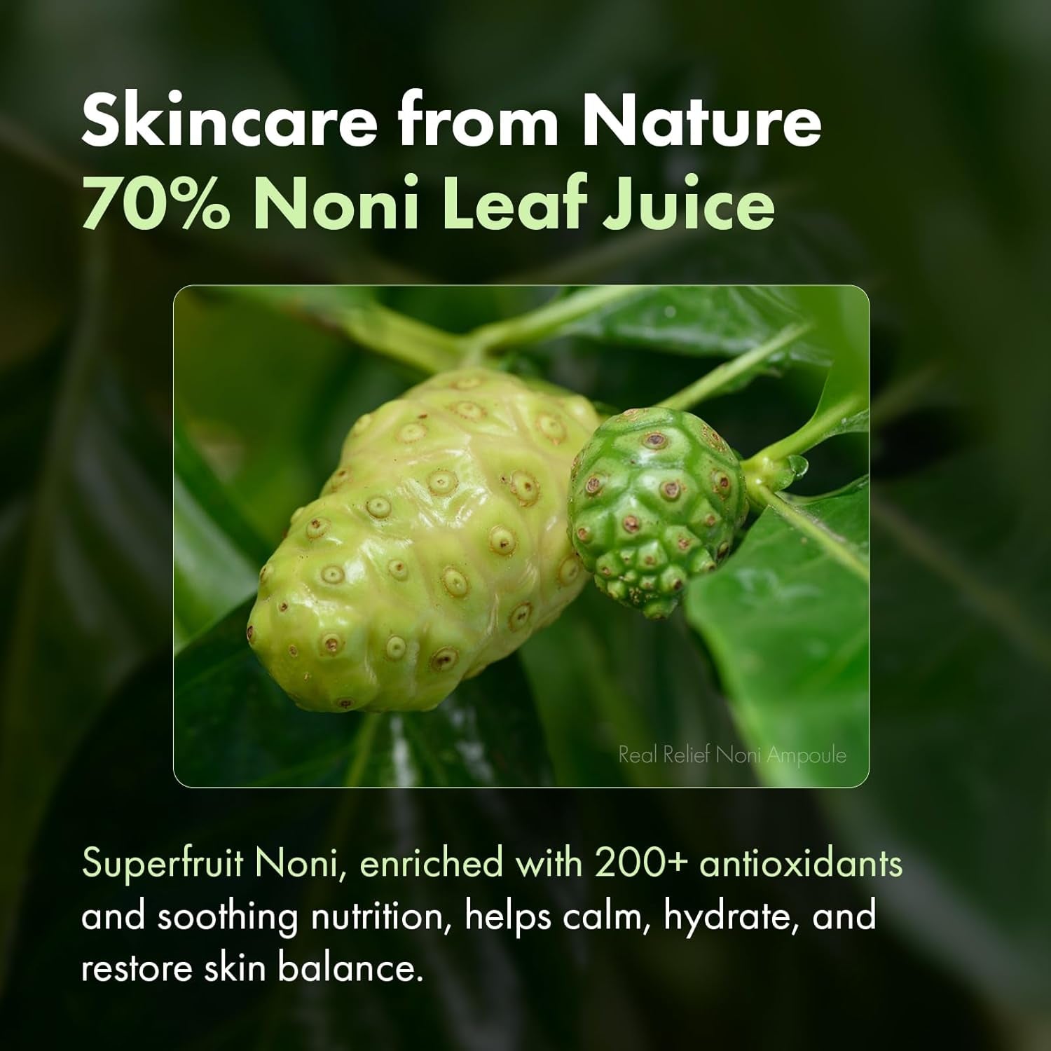 Real Relief Noni Ampoule, 701,518Ppm Noni Leaf Juice, Korean Skincare Calming Serum, Dark Spots & Fine Lines, Hydration, Moisturizing, anti Aging, Glass Skin Glow, 33Ml / 1.11 Fl. Oz.