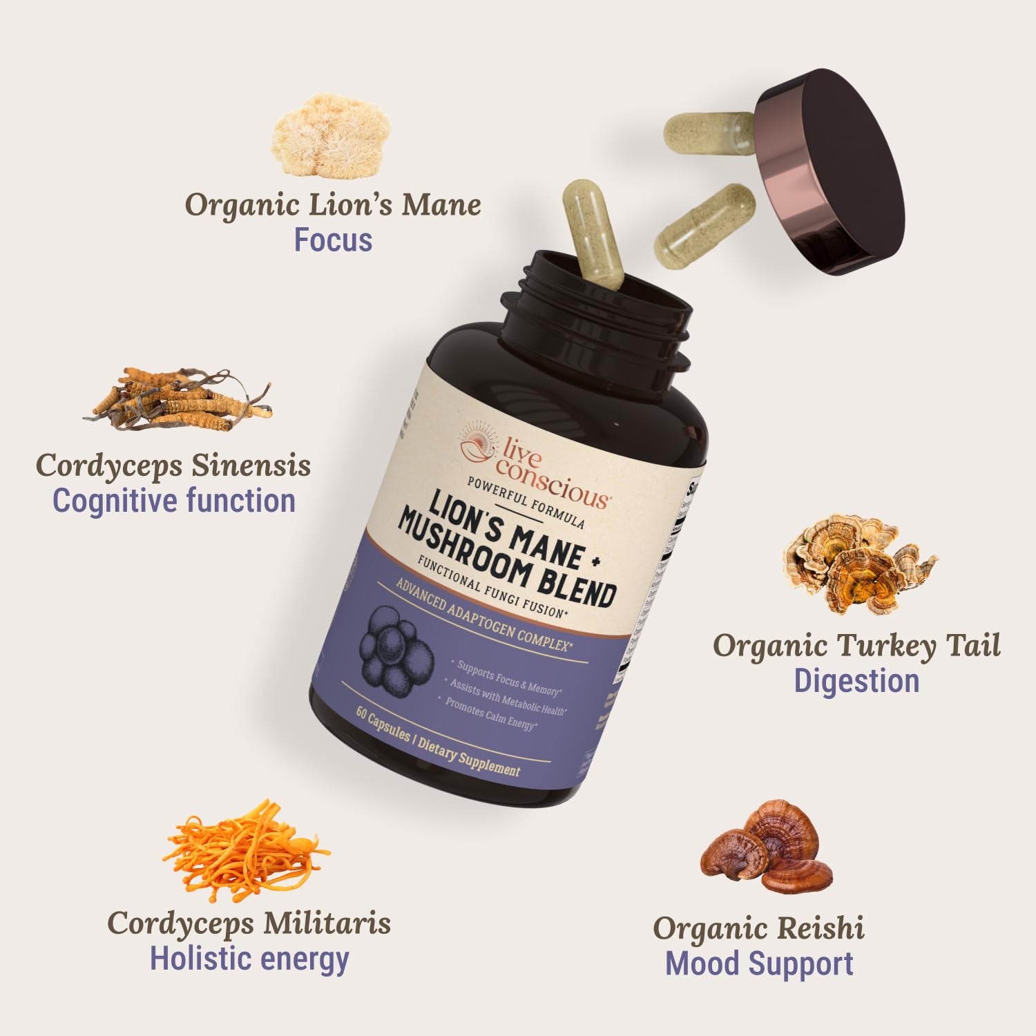 Live Conscious Lion’s Mane + Mushroom Blend – 60 Capsules | Focus, Memory & Immune Support