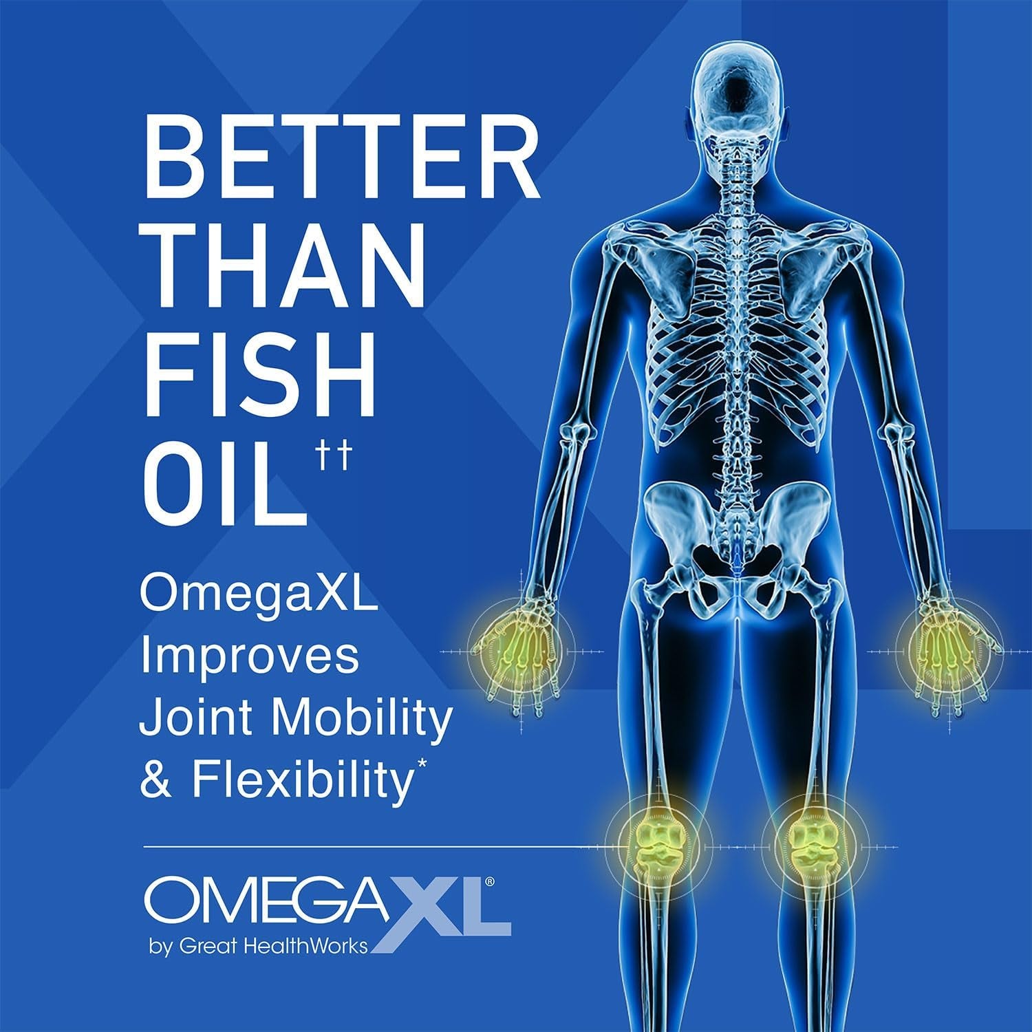 OmegaXL Joint & Muscle Support – 60 Softgels | Advanced Green-Lipped Mussel Omega-3 Complex