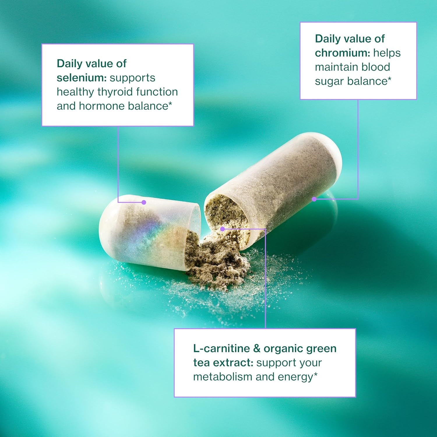 Love Wellness Hello Burn Balance – 60 Capsules | Metabolism, Hormonal & Energy Support