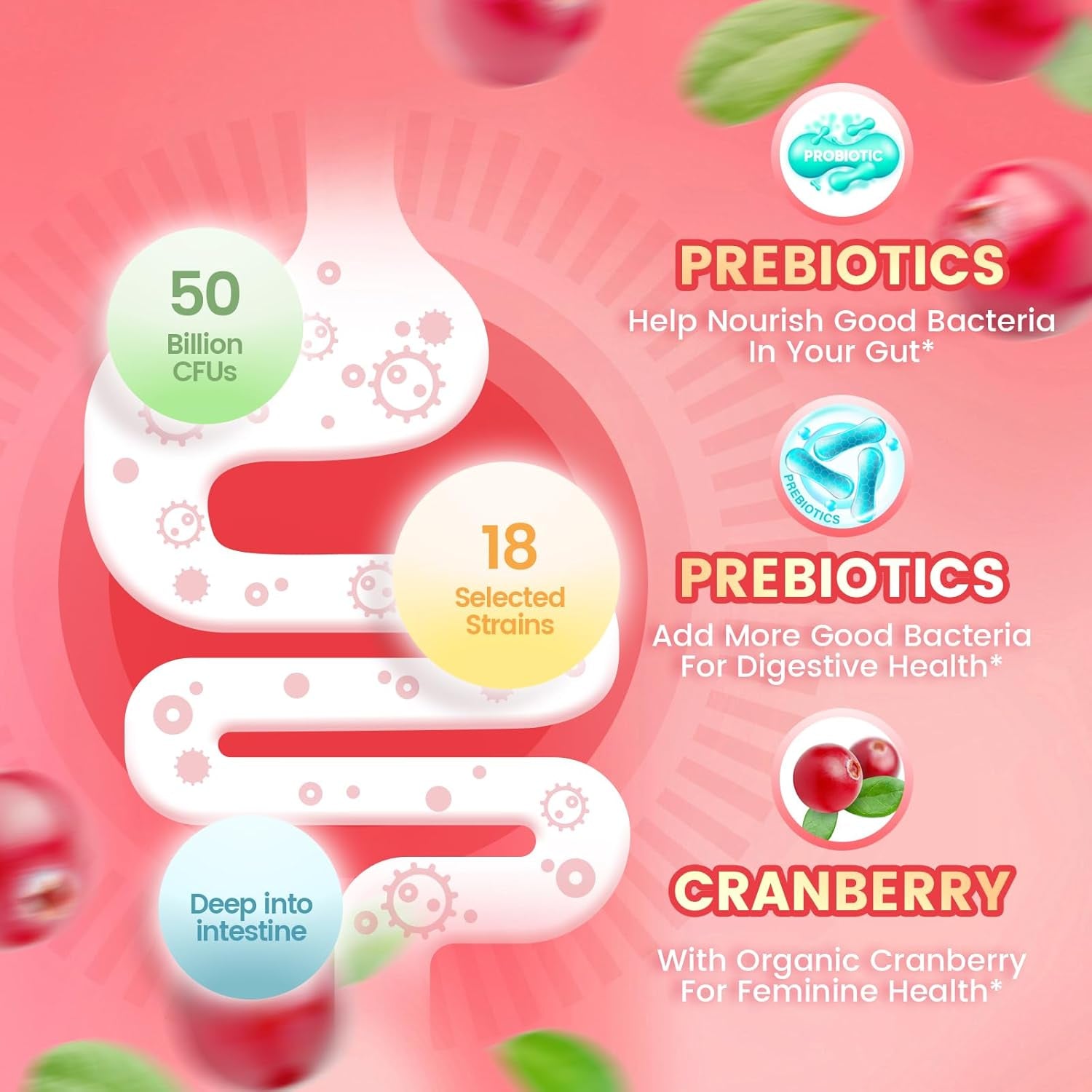 VivoNu Women’s Probiotic Gummies (Cranberry Flavor) – 60 Gummies | Vaginal Balance, pH Support & Digestive Health