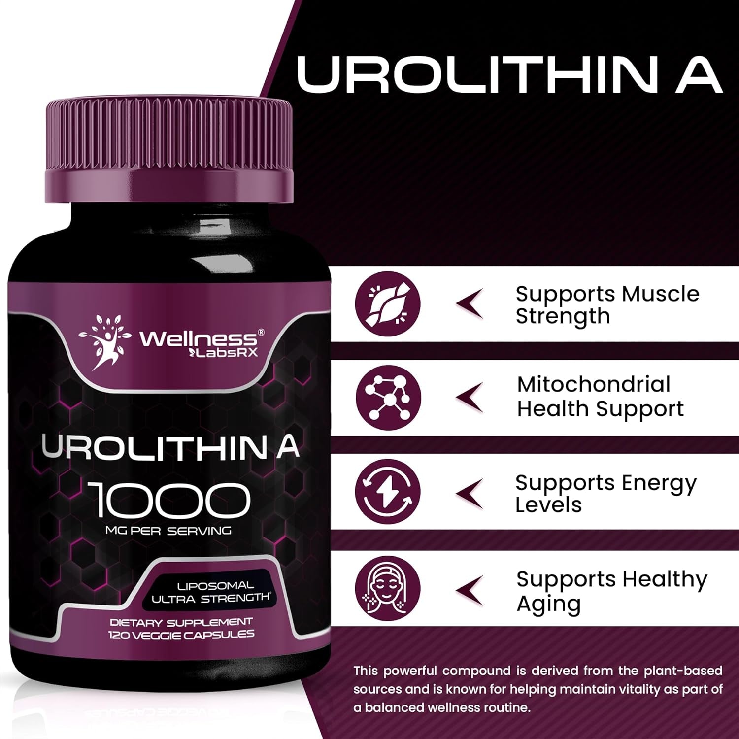 WELLNESS LABSRX Urolithin A 1000MG - 120 Capsules