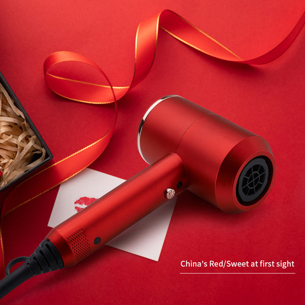 Professional High-Power Hair Dryer – 2000W Ionic Fast-Dry Hammer Design | 3-Speed Salon Styling Blow Dryer