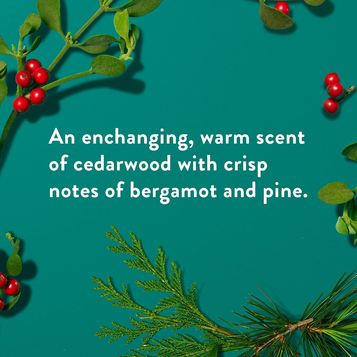 Native Body Wash, Fresh Mistletoe Scent - 532ml