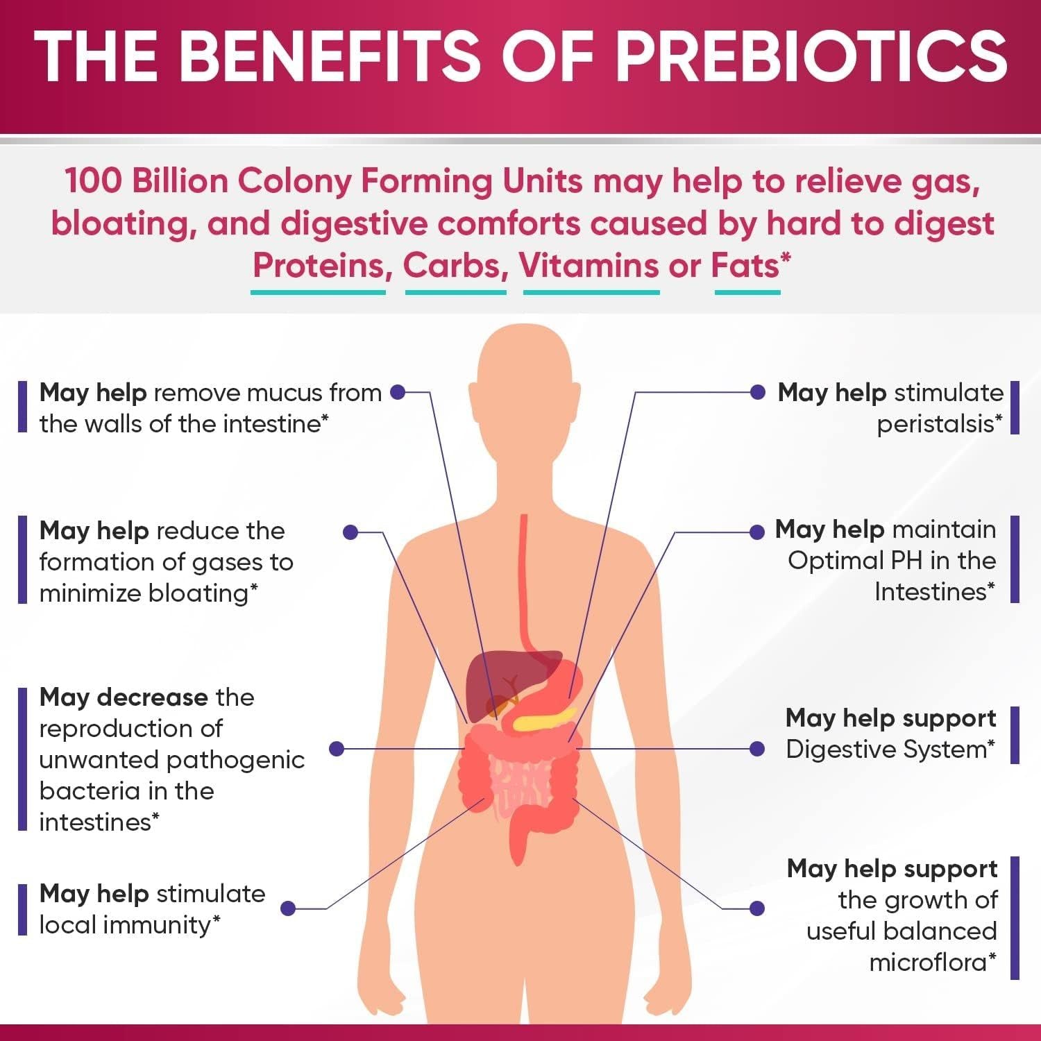Wholesome Wellness Women's Raw Probiotic – 60 Capsules | 100 Billion CFU for Gut, Immune & Feminine Health