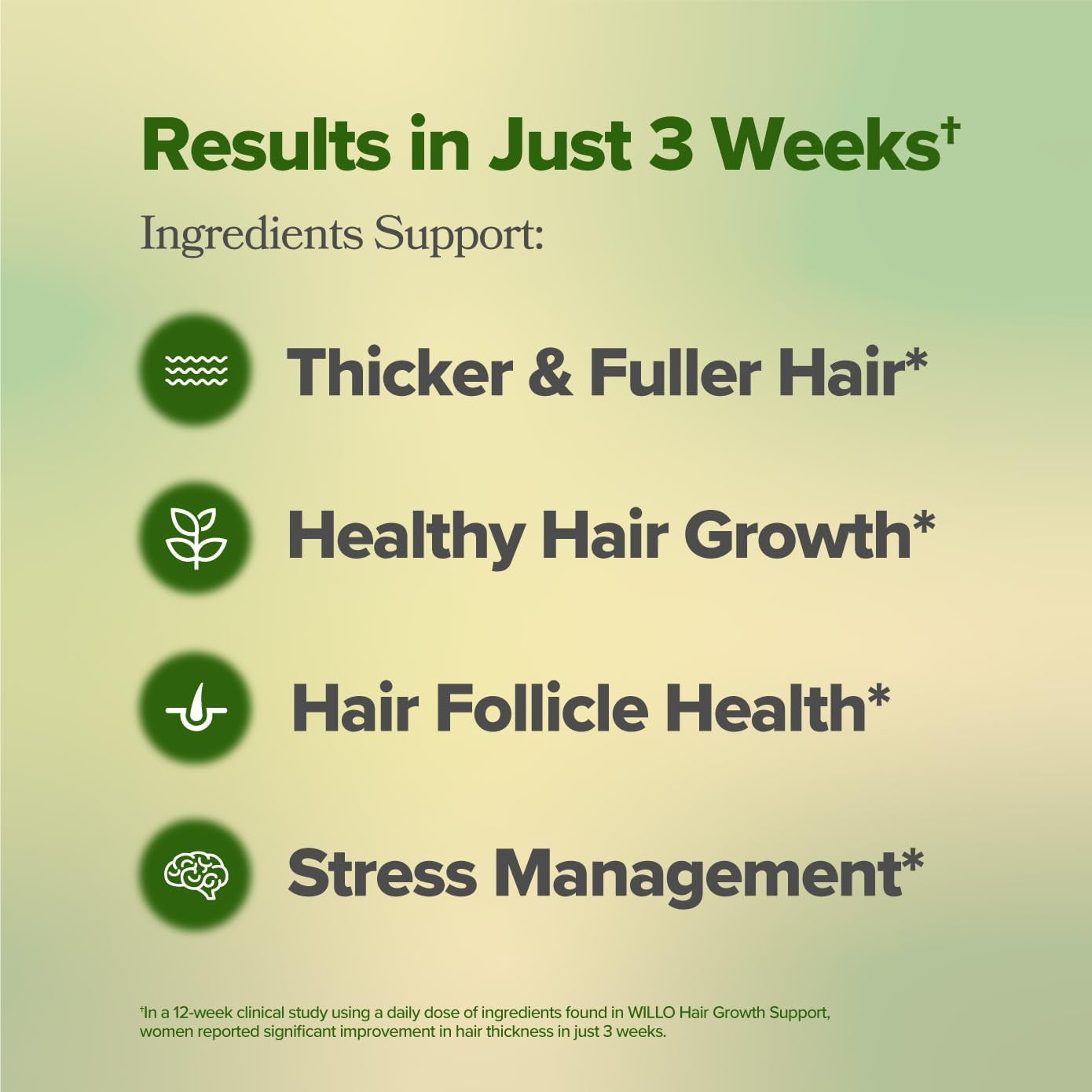O Positiv Willo Hair Growth Support – 60 Capsules | Clinically Proven for Thicker, Fuller Hair in 3 Weeks