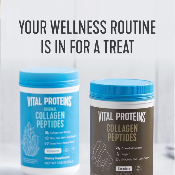 Vital Proteins Collagen Peptides Chocolate - 383g - Glam Global UKVital Proteins