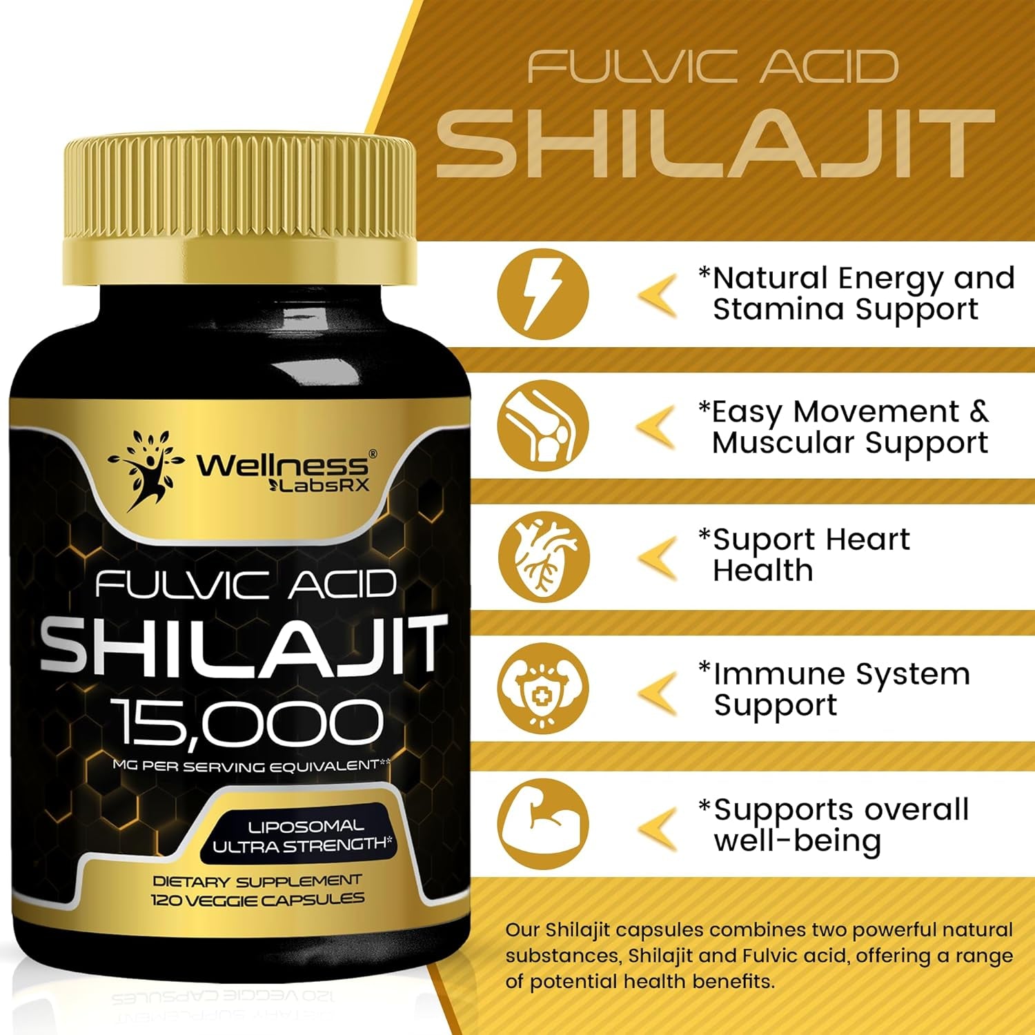 WELLNESS LABSRX Fulvic Acid Shilajit 15,000MG - 120 Capsules