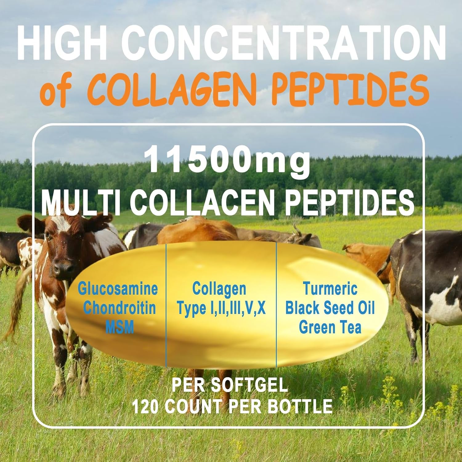 Collagen Peptides Softgels, Multi Collagen Peptide W/ Glucosamine Chondroitin MSM Biotin, Hydrolyzed Collagen Peptides Complex for Women Supports Skin Hair Nail Joints Bones Gut Health, Non-Gmo