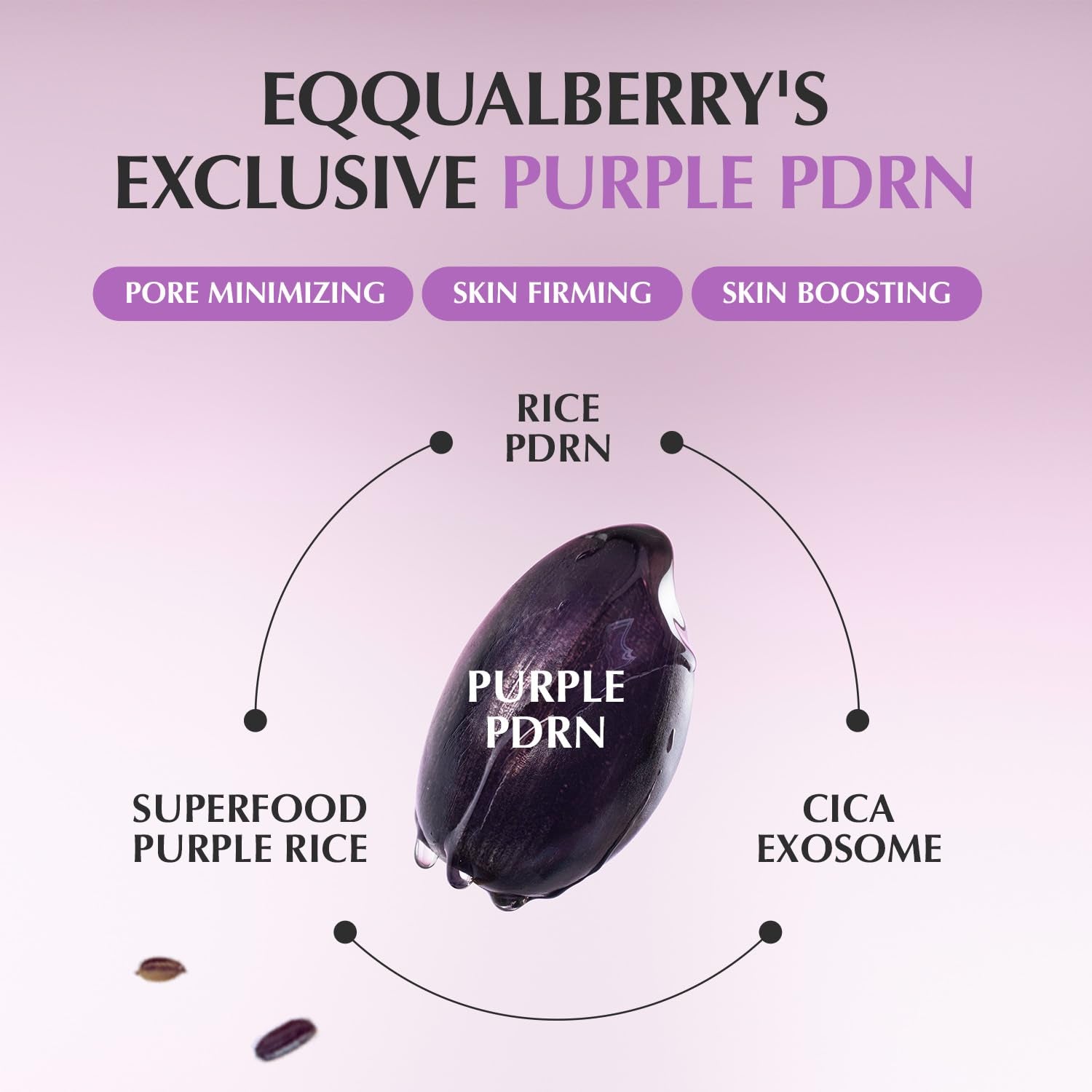 EQQUALBERRY Pore Fit Purple PDRN Pore Minimizing Serum – 30ml | Vegan PDRN for Smooth, Refined & Firm Skin