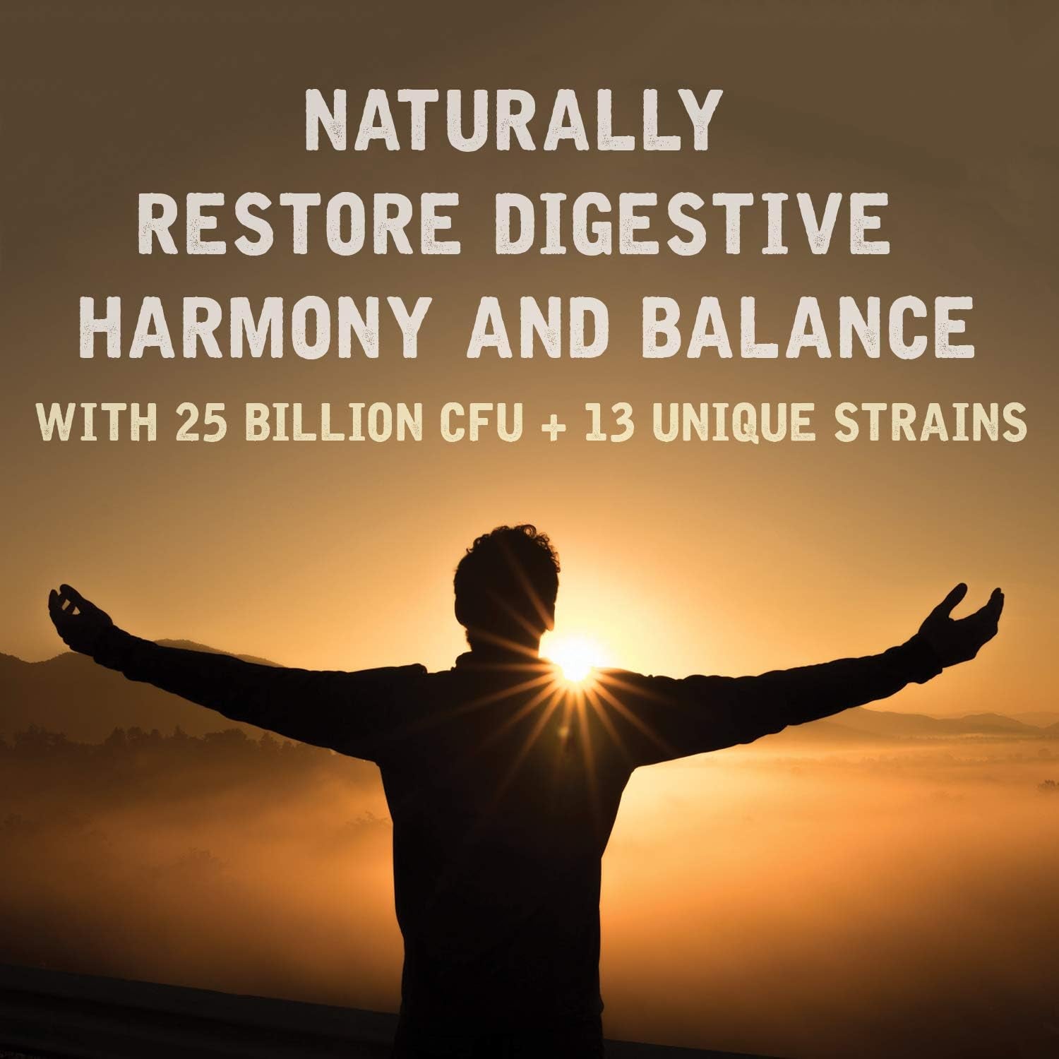 Natural Rhythm Digestive Calm Probiotic Plus L-Glutamine – 60 Capsules | Gut Health, Digestive Comfort & Immune Support