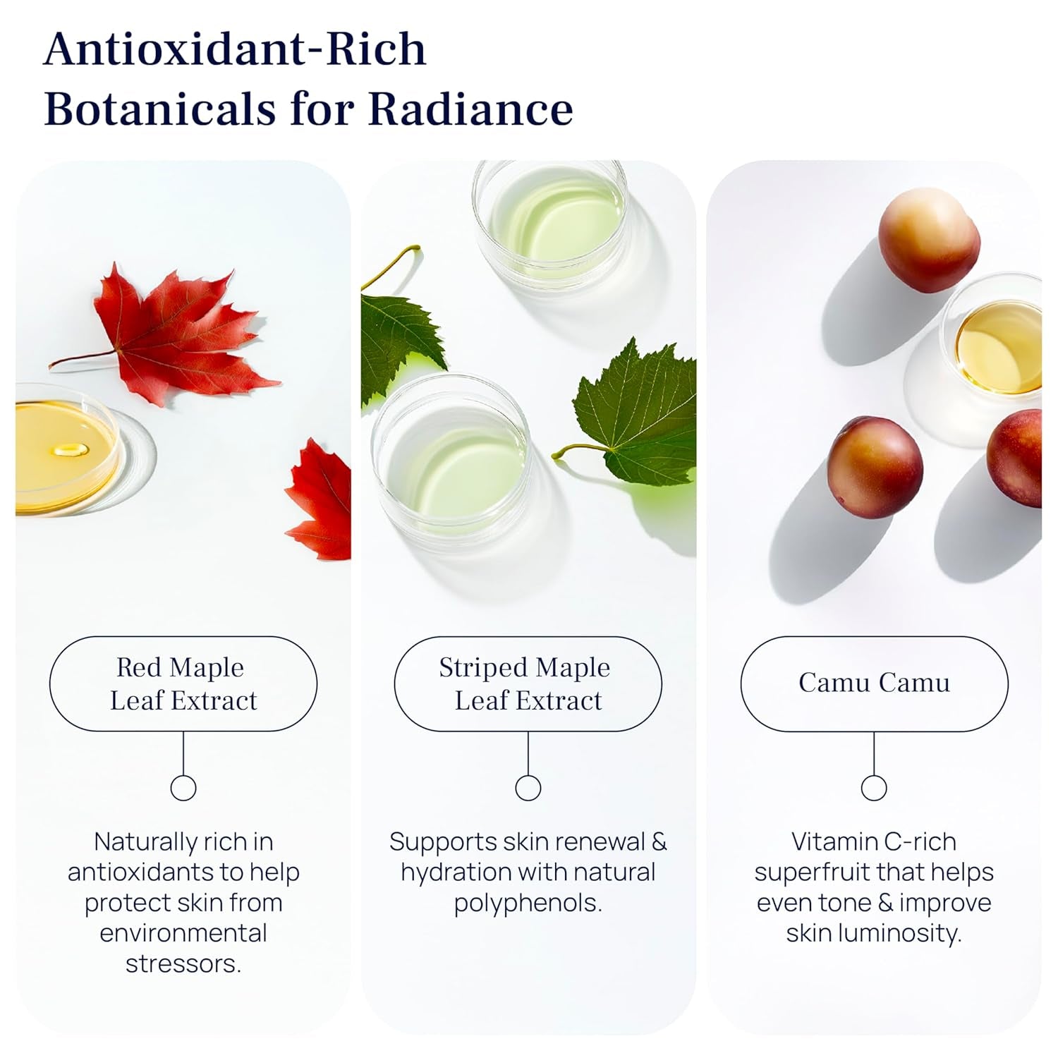 Organic Bakuchiol Plumping Serum - Bakuchiol for Face Skin and Wrinkles - Cellular Restore Serum - with Jojoba Oil, Sea Buckthorn, Camu Camu, Babchi, Maple Leaf Extracts & More - 1 Fl Oz