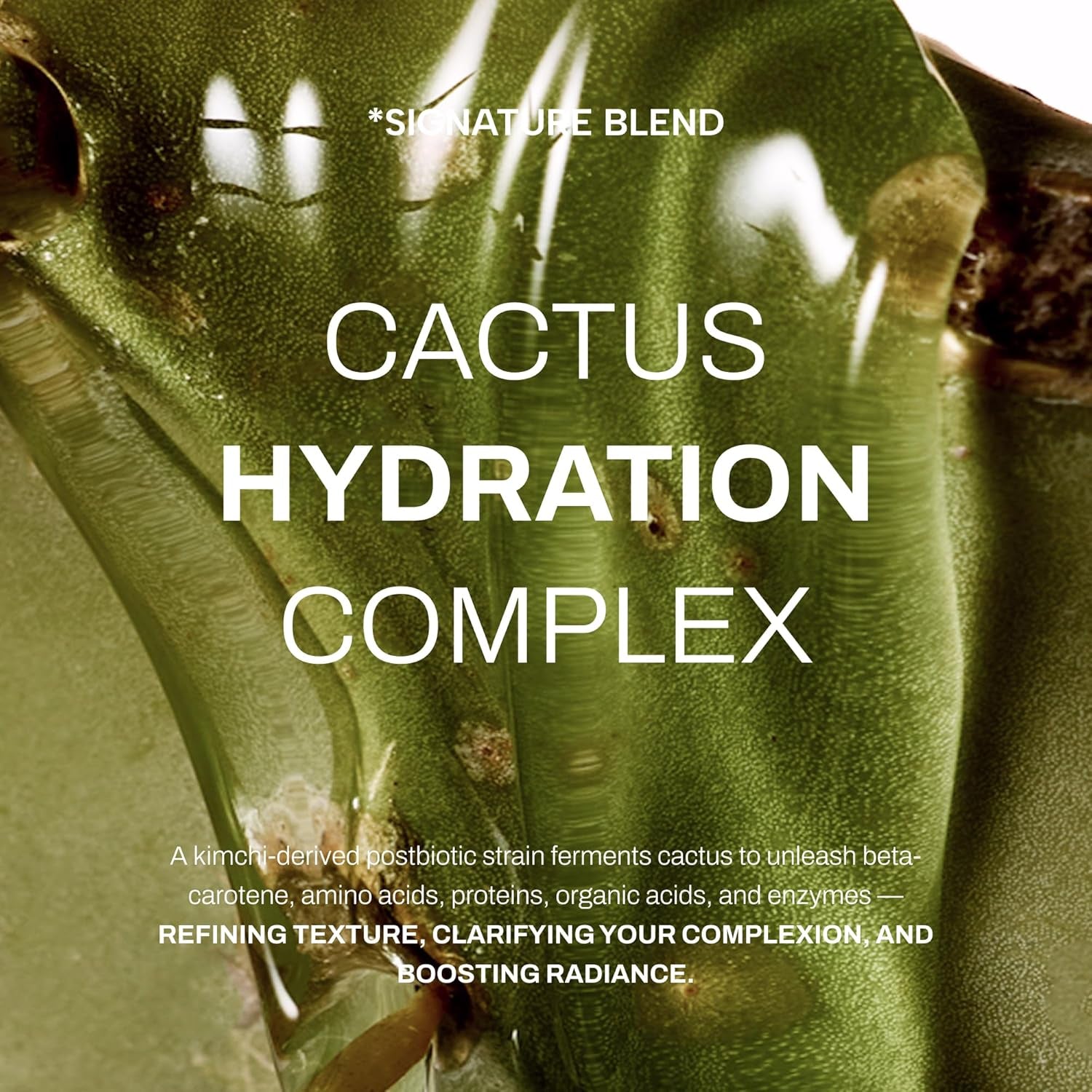 Whamisa Cactus Bouncy Serum – 52ml | Organic Korean Hydrating & Firming Serum