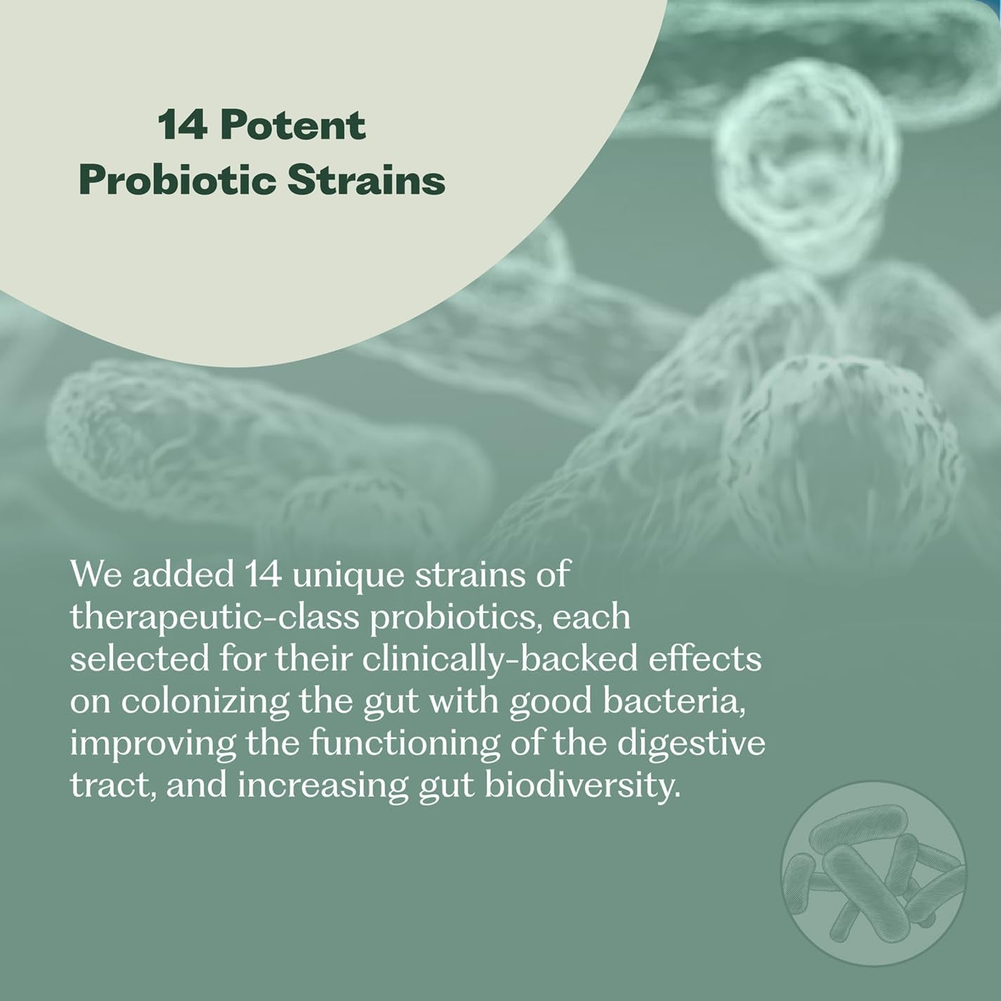 Nature M.D. Synbiotic 365 – 30 Capsules | Gut Health, Immunity & Weight Management Support