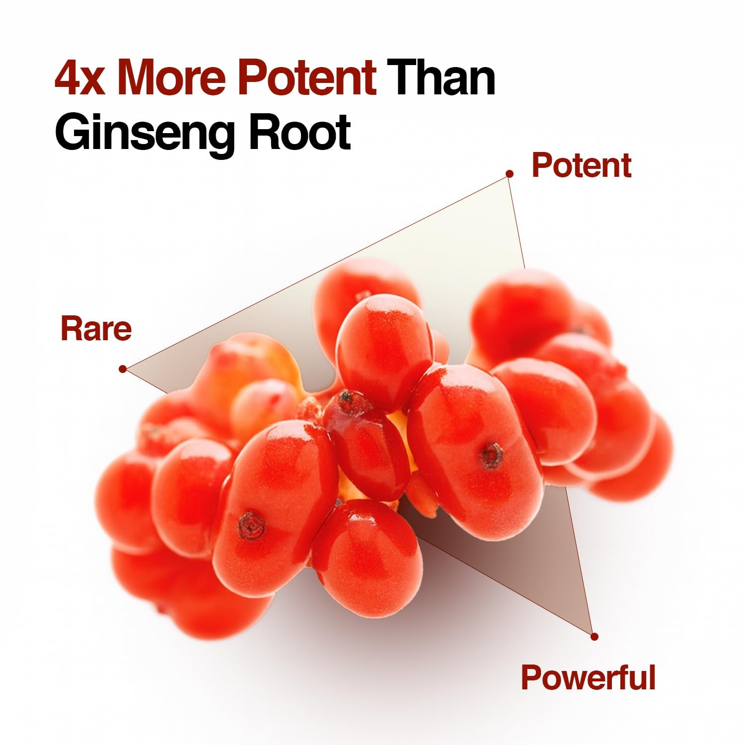 CLIV Ginseng Berry Premium Ampoule (Special Kit) – 30ml | Nourishing, Hydrating & Anti-Aging Concentrate