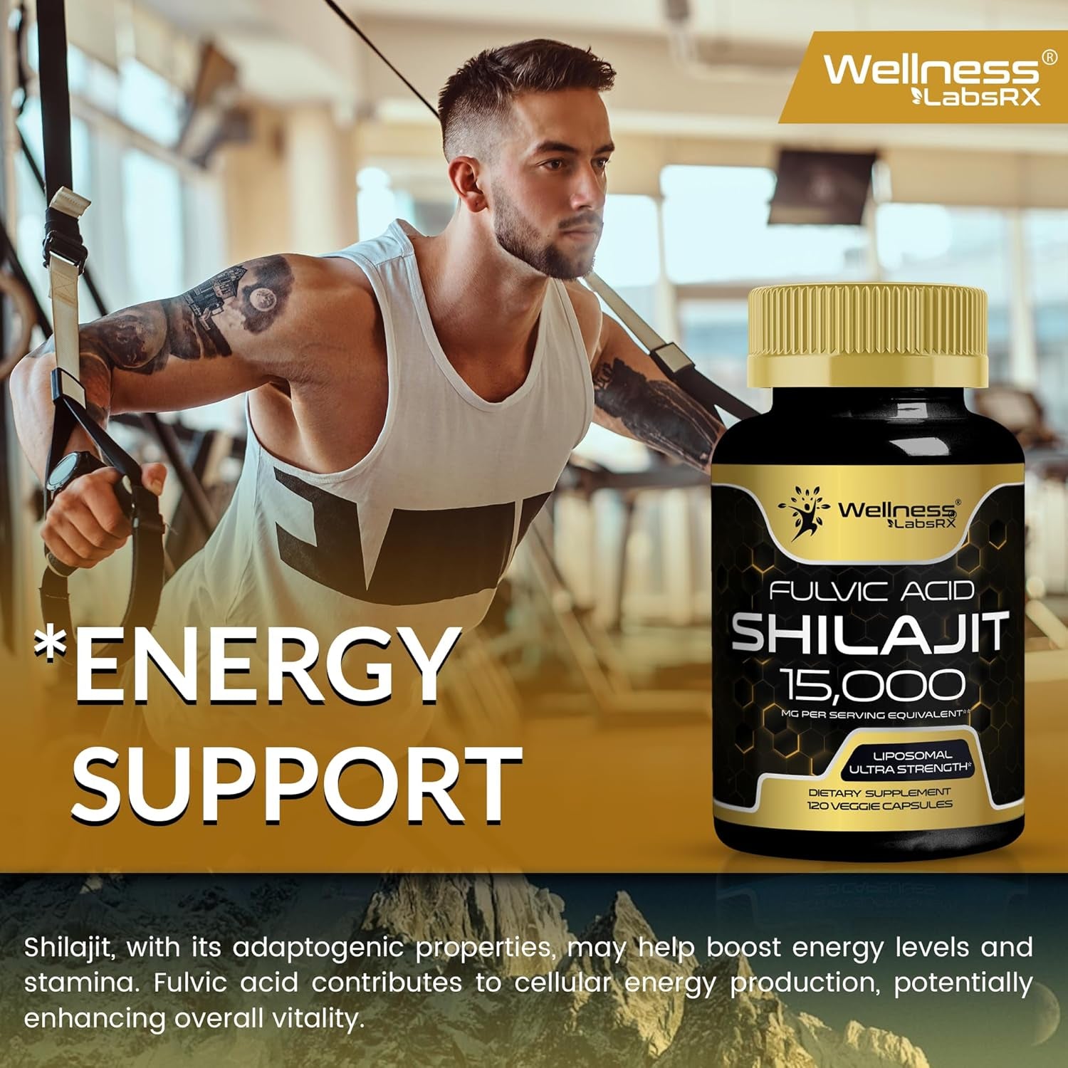 WELLNESS LABSRX Fulvic Acid Shilajit 15,000MG - 120 Capsules