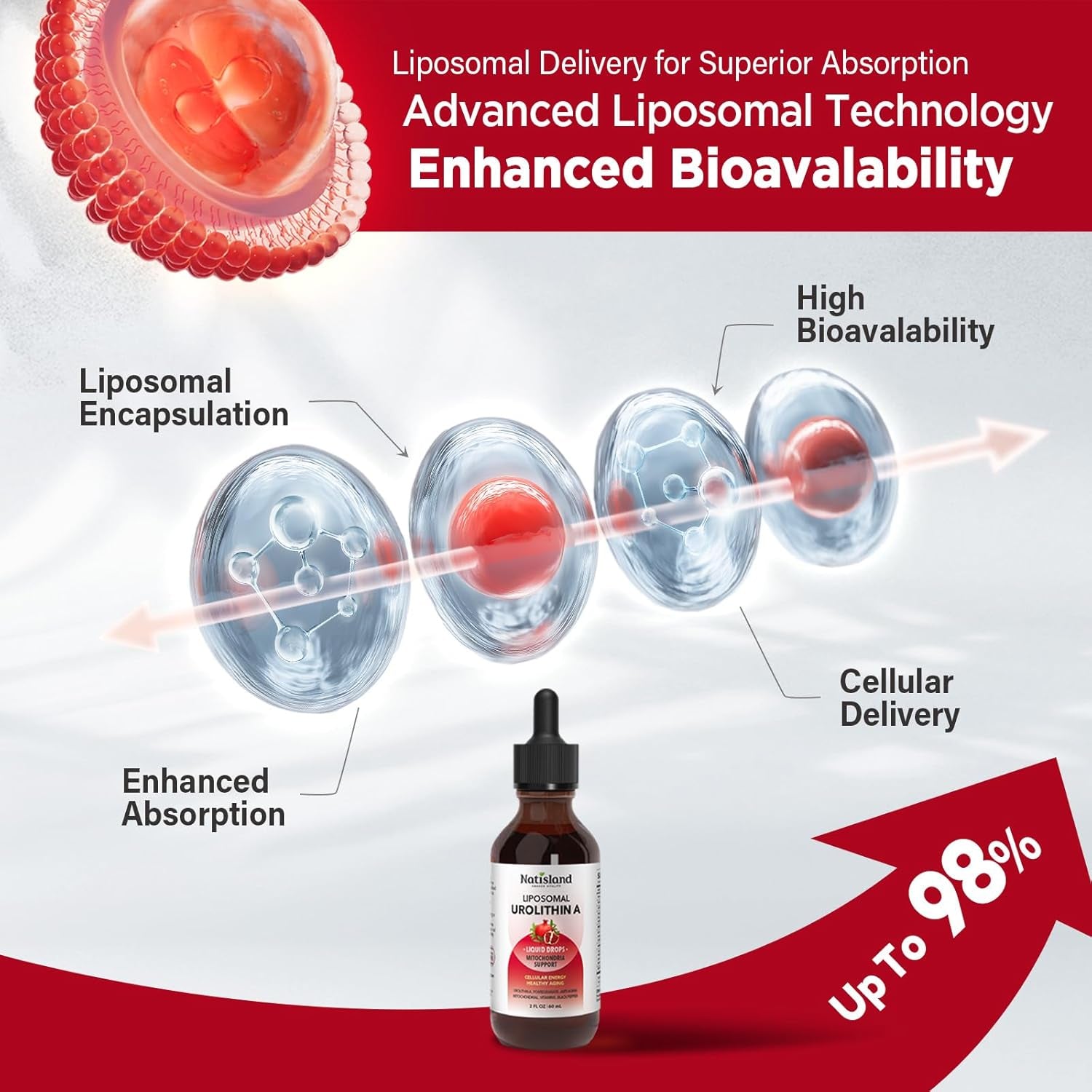 NATISLAND Liposomal Urolithin A Liquid Drops - 60ml