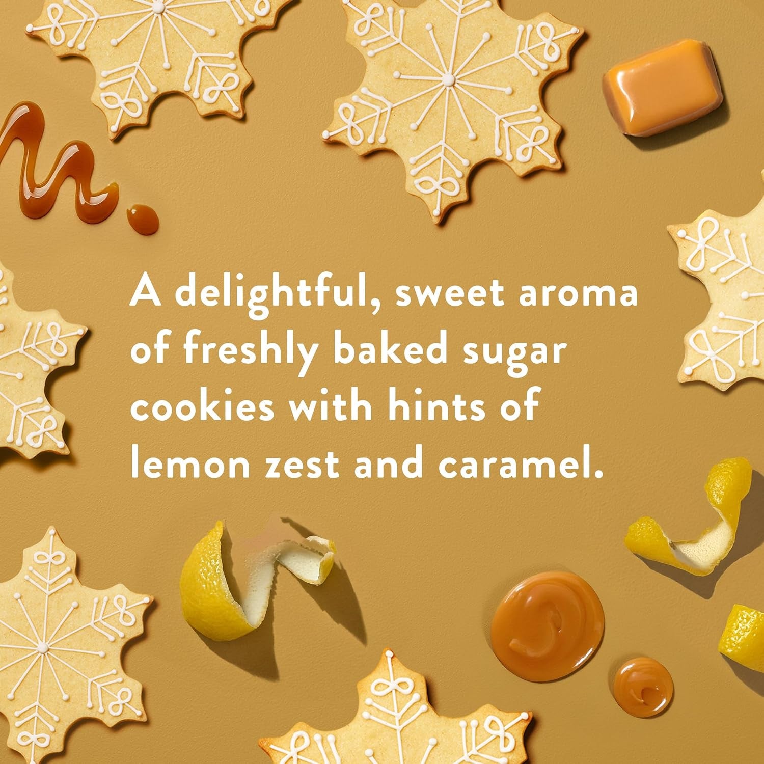 Native Body Wash, Sugar Cookie Scent (Holiday Edition) - 532ml