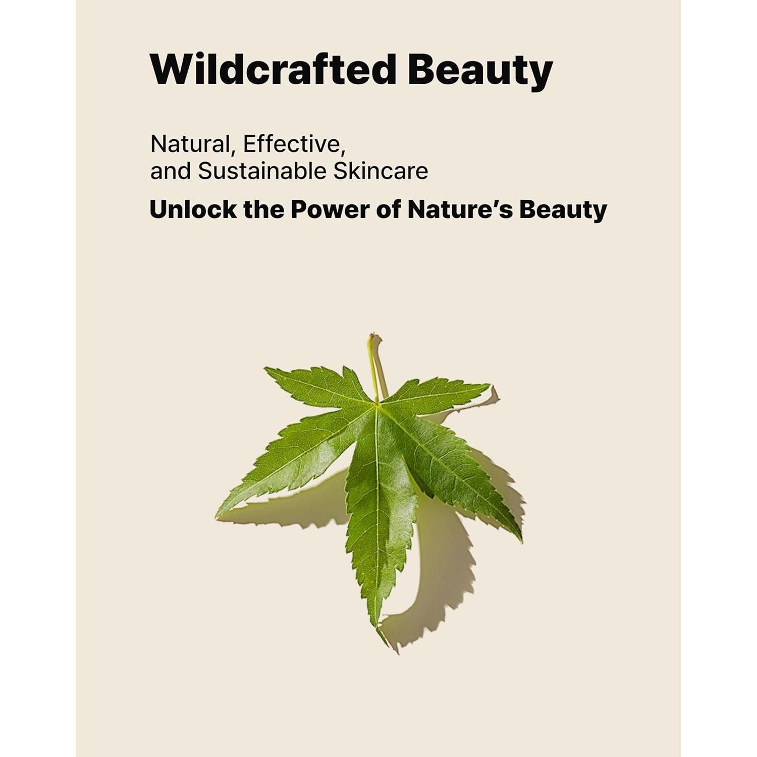 Raw Moisturizer Face Cream | Korean Skincare, Daily Hydrating Cream | 69% Maple Sap, Softening, Nourishing, Lightweight Gel, Vegan, Sensitive Skin, Anti-Aging