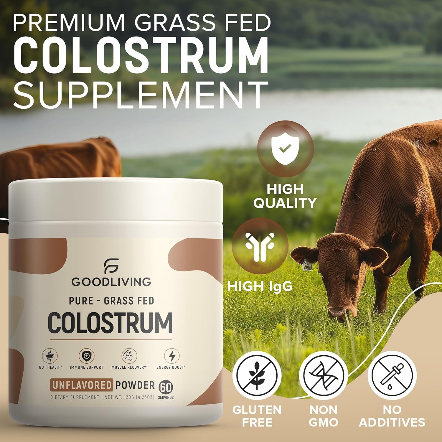 GoodLiving Pure – Grass Fed Colostrum Unflavored Powder – 120g | Immune, Gut & Muscle Support Superfood