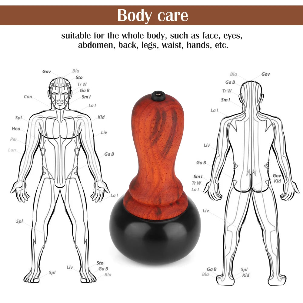 PASTSKY Electric Gua Sha Massager – Heated Bian Stone Body & Facial Scraping Tool for Relaxation, Pain Relief & Skin Rejuvenation