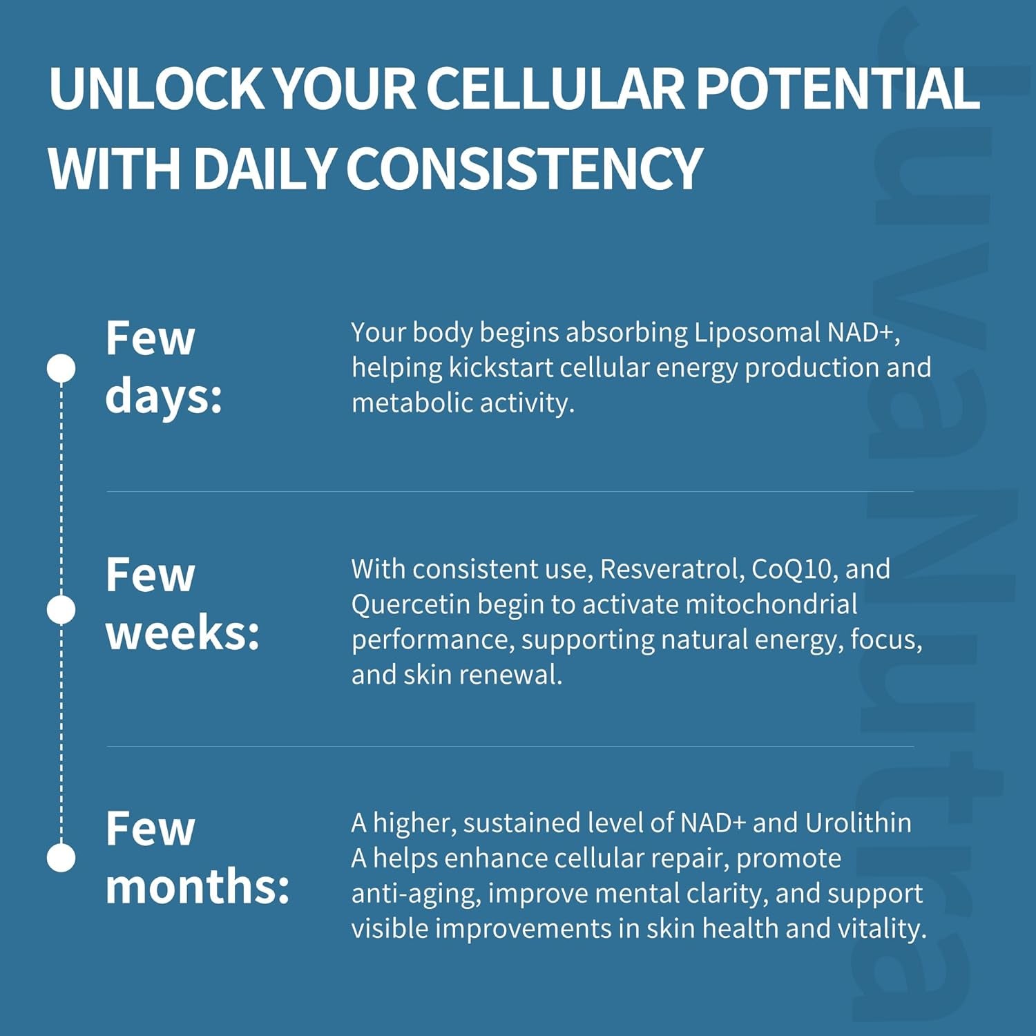 NAD Supplement 11-In-1 Extra Strength – Liposomal NAD with Resveratrol, Coq10, Urolithin A, ALA & Turmeric – Supports Anti-Aging, Cellular Repair, Energy & Focus – for Women & Men – 60 Capsules