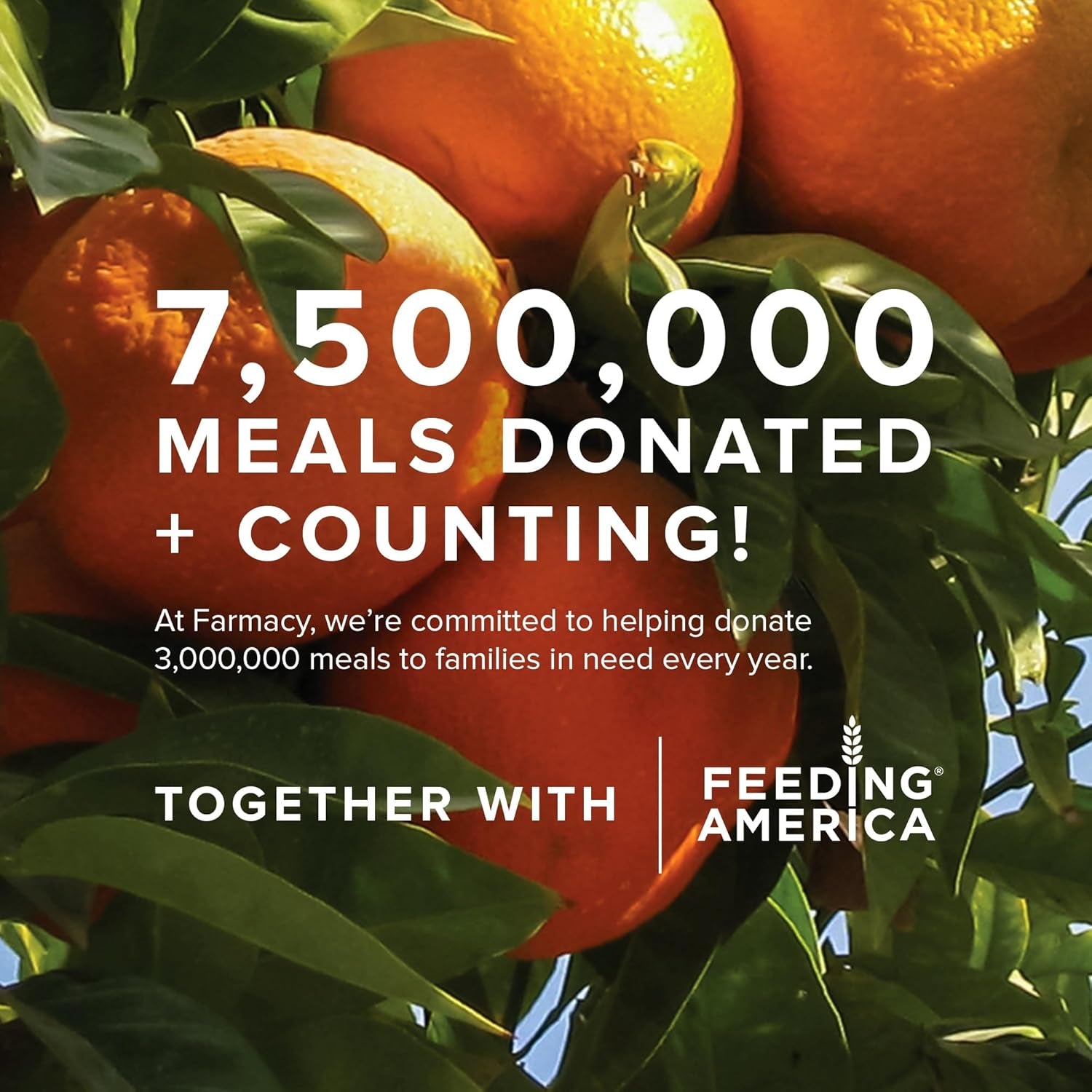 Hydrating Face Mask - Honey Potion plus Nourishing Skincare Facial Mask with Niacinamide, Ceramides + Pro-Vitamin B5 to Protect + Replenish Moisture Barrier (50G)