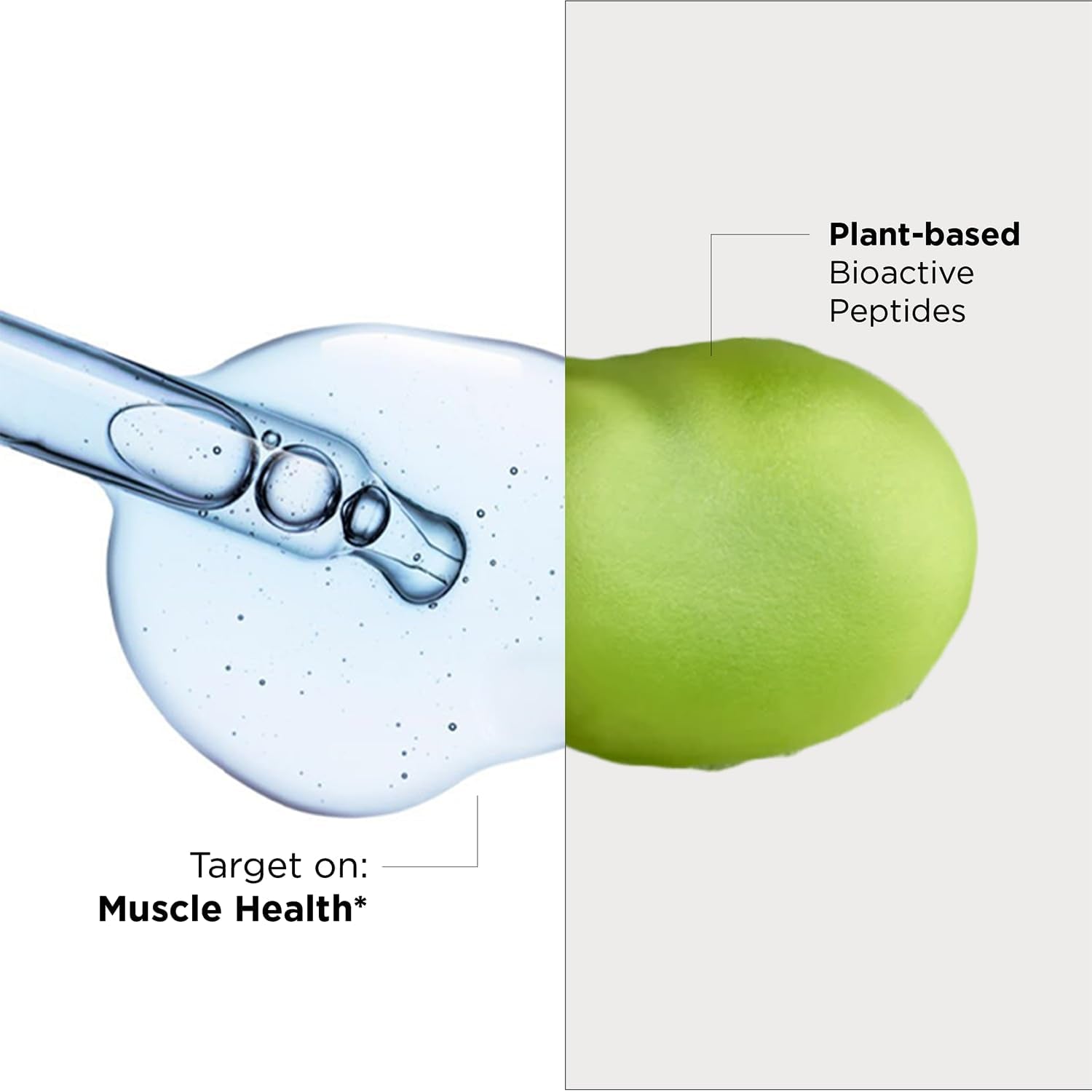 Performance Peptides - Supports Muscle Health, Healthy Aging & Body Composition - Plant-Based Peptide Muscle Recovery Supplements (120 Capsules)