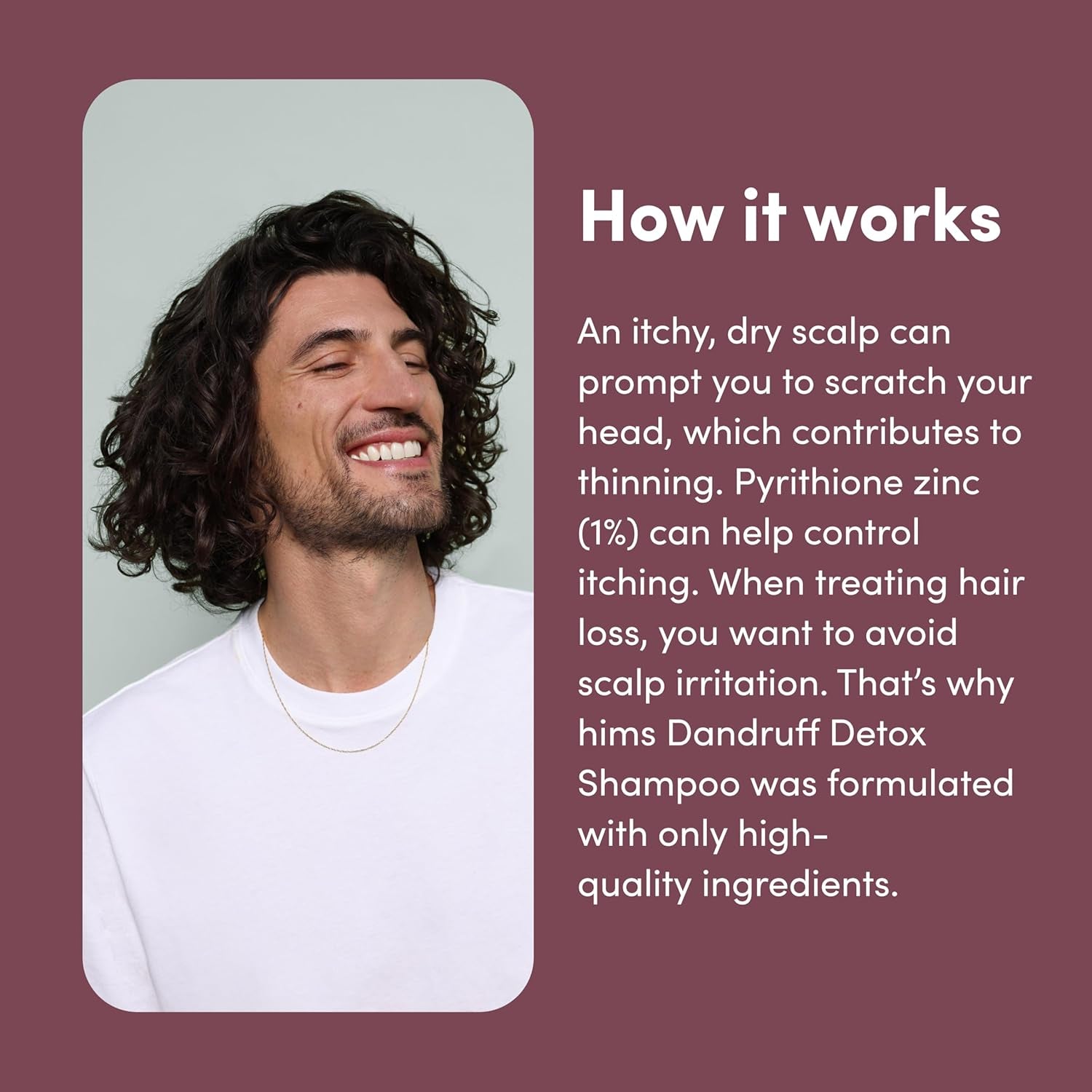 Hims Dandruff Detox Anti-Dandruff Shampoo – 190ml (2 Pack) | Pyrithione Zinc & Argan Oil for Flake-Free, Healthy Hair