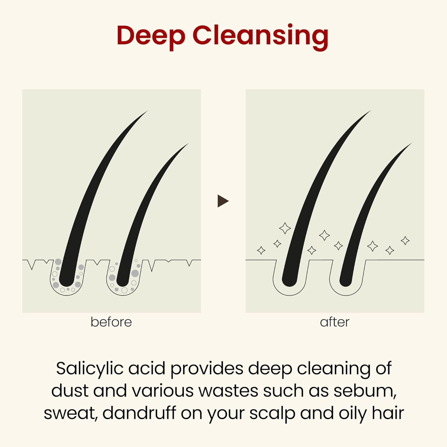 CH6 Sprout Scalp SSAG Shampoo – 520ml | Hair Loss Relief, Anti-Ageing & Scalp Renewal Formula