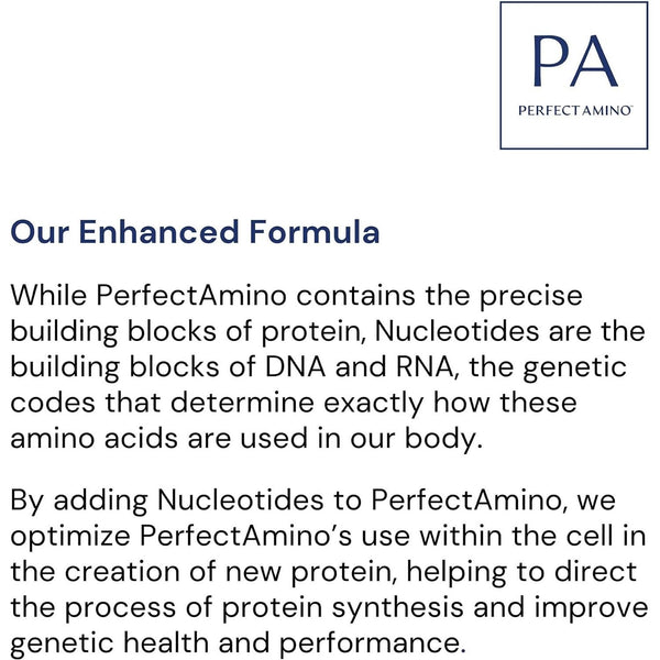 BodyHealth Probiotic Enhanced with Perfect Amino™ – 60 Capsules | Advanced Gut Health & Microbiome Support