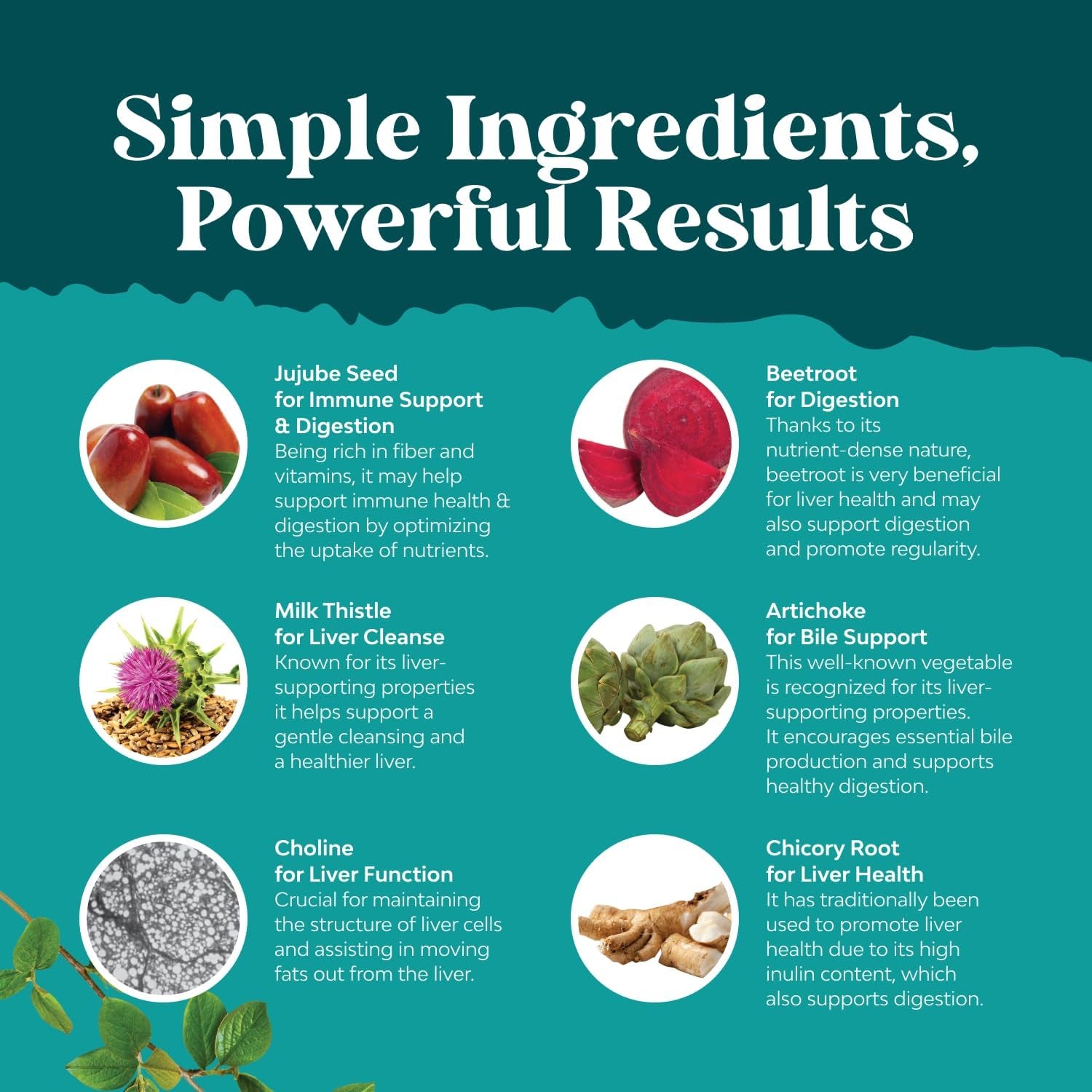 Natures Craft Liver Support – 180 Capsules | Advanced Milk Thistle Detox & Cleanse