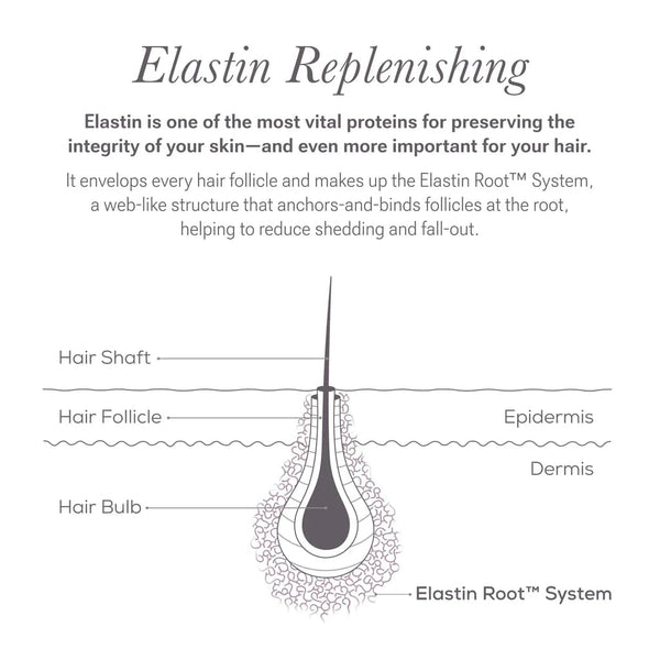 Scalp Serum - Vibrant Scalp Treatment to Help Improve the Look of Hair Density - Lightweight, Fast Absorbing Formula Enriched with Hair-Strengthening Ingredients (1.7 Oz)