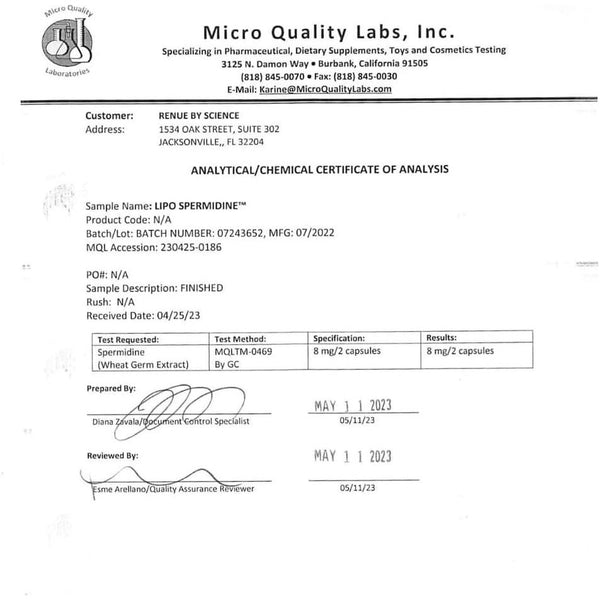 Renue By Science Lipo Spermidine Supplements – 90 Capsules | Cellular Health & Longevity Support