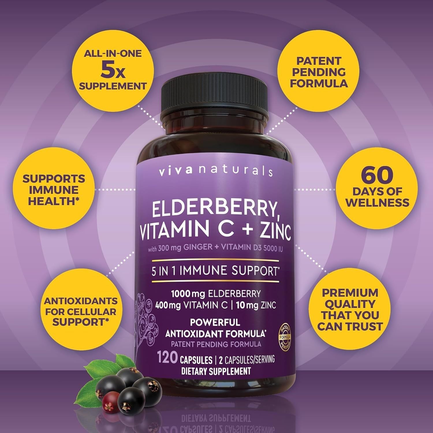 Viva Naturals Elderberry, Vitamin C + Zinc – 5-in-1 Immune Support, 120 Capsules