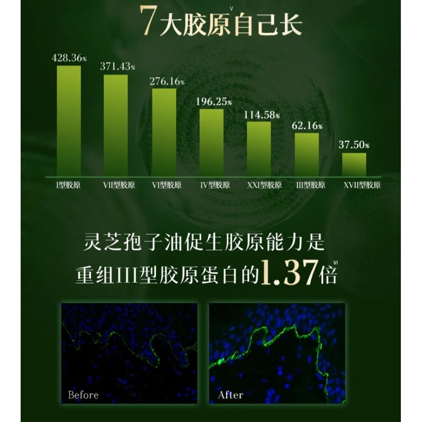 Herborist Tai Chi Regenerating Repair & Firming Cream 50g – Glow