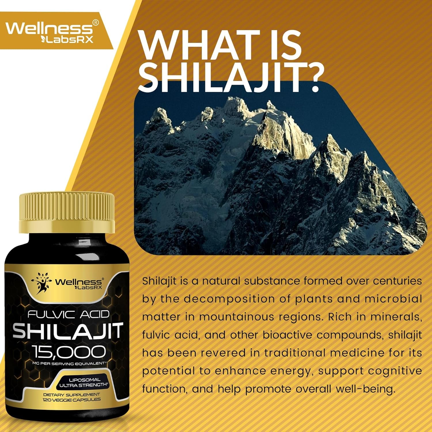 WELLNESS LABSRX Fulvic Acid Shilajit 15,000MG - 120 Capsules