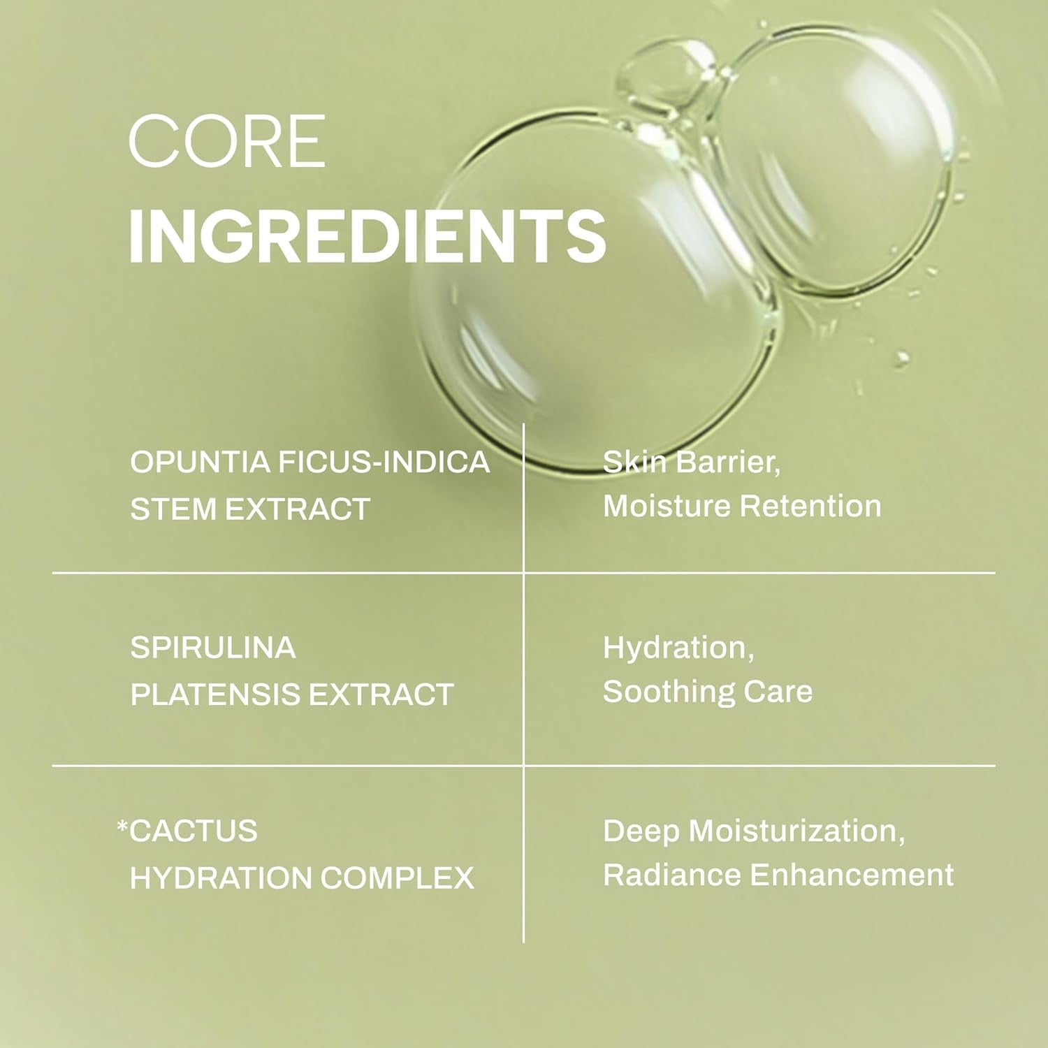 Whamisa Cactus Bouncy Serum – 52ml | Organic Korean Hydrating & Firming Serum