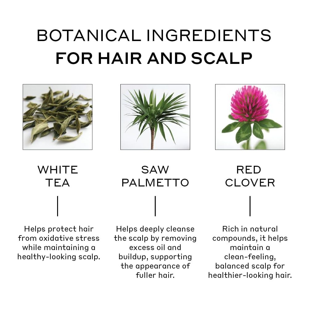 ZENAGEN Densifying Hair Serum – 50ml | Strengthens Roots, Reduces Thinning & Boosts Hair Volume