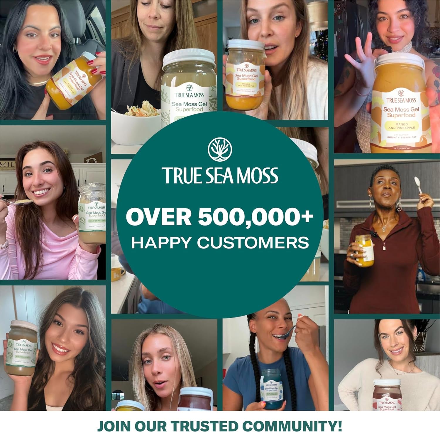 TrueSeaMoss Sea Moss Gel Superfood – 473ml, Strawberry Flavor | Immunity, Energy & Digestion Support