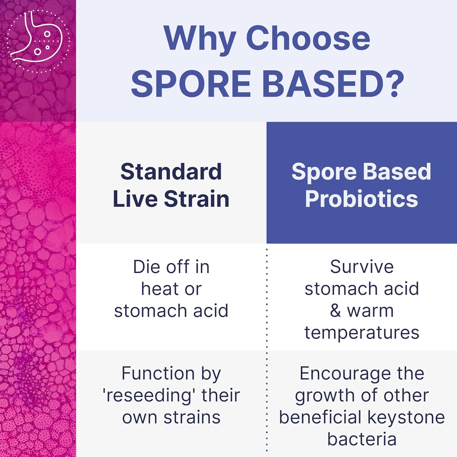 Microbiome Labs MegaSporeBiotic – 60 Capsules | DNA-Verified Spore-Based Probiotic for Gut & Immune Health