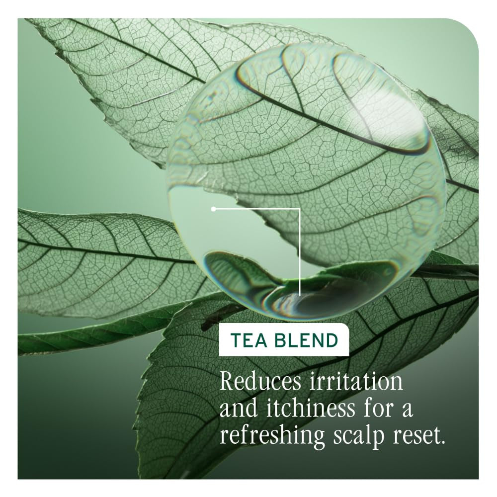 Scalp Sync Oil Balancing Serum - Absorbs Excess Oil, Leave-In Scalp Treatment, Fermented Tea Blend, Vegan & Paraben-Free, 1.6 Fl Oz