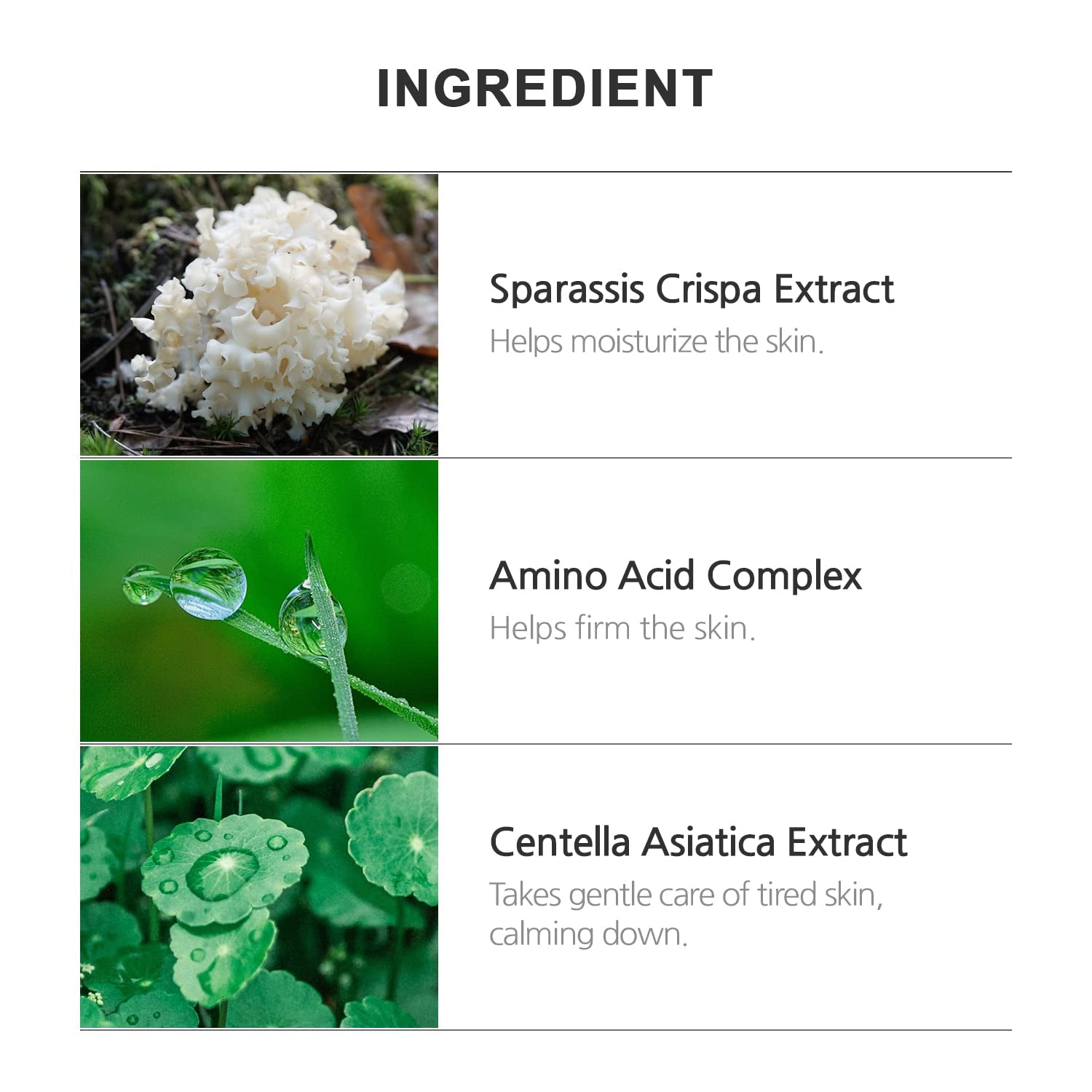 INCELLDERM Dermatology First Package EX – 130ml Booster + 45ml Serum