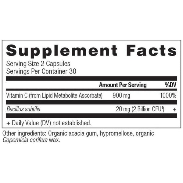 Ancient Nutrition Vitamin C+Probiotics (60 Capsules) - Glam Global UKAncient Nutrition